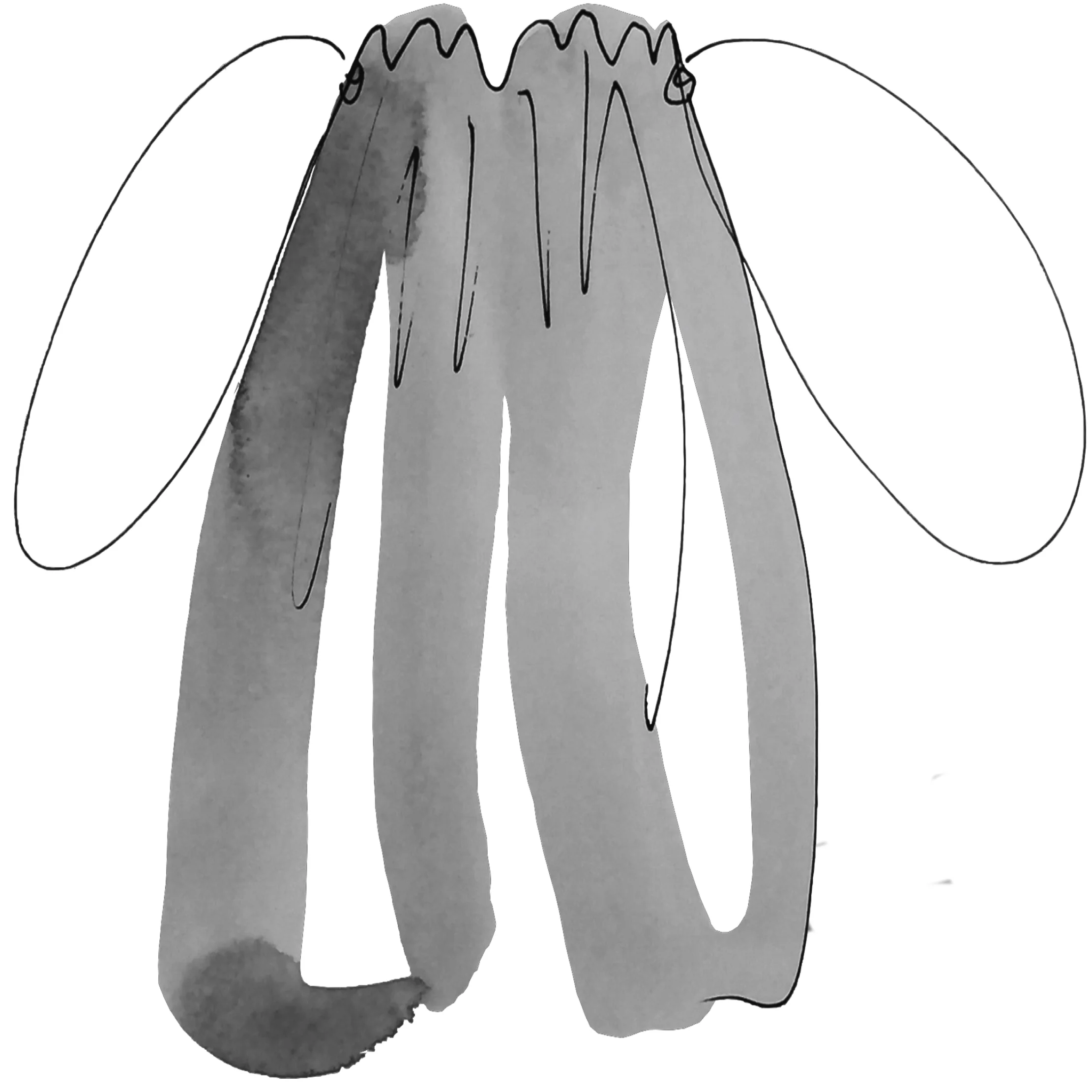 GUTSCHEIN Schuhbeutel UNI