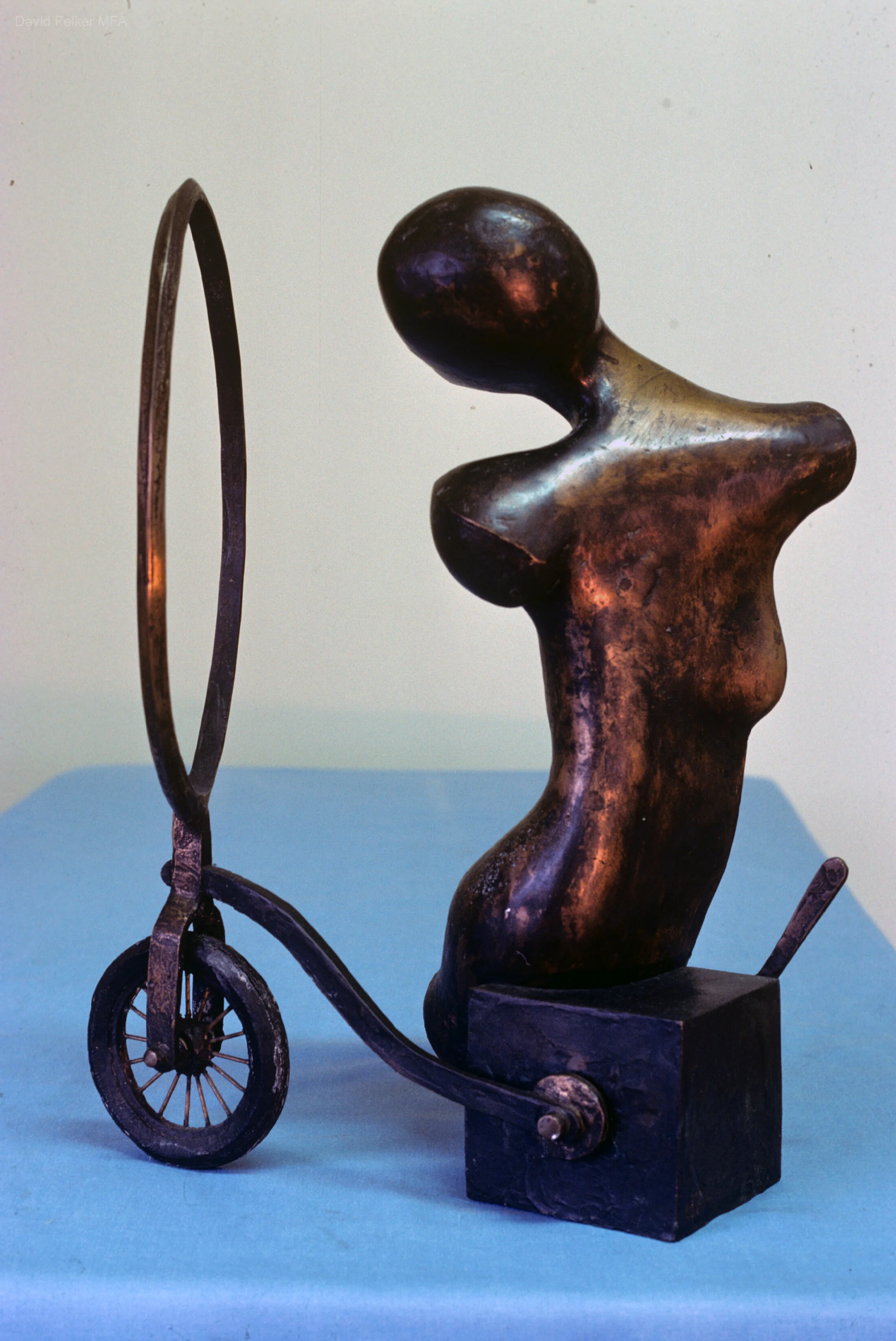 Pleides_005.jpg