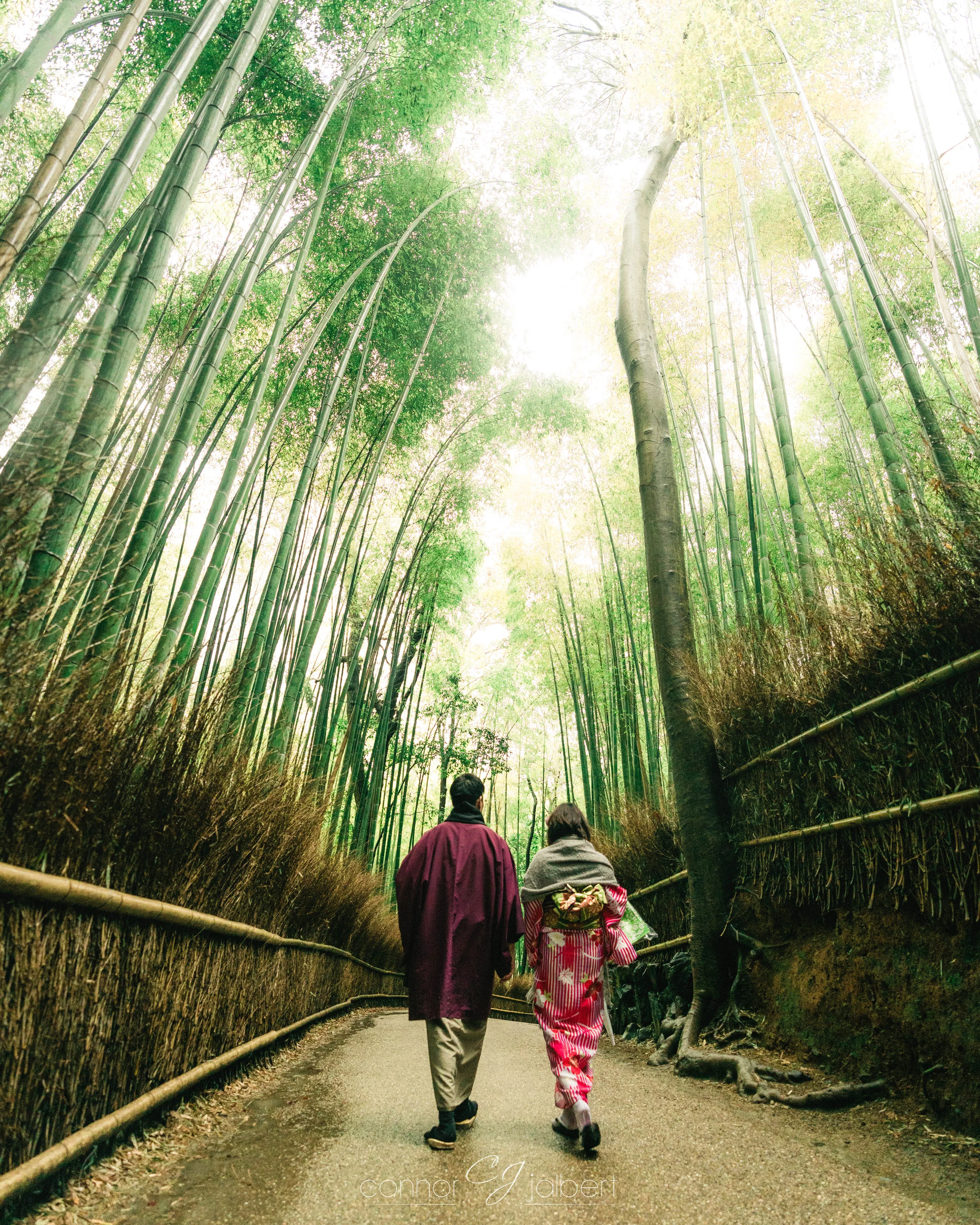 Arishiyama Bamboo Grove