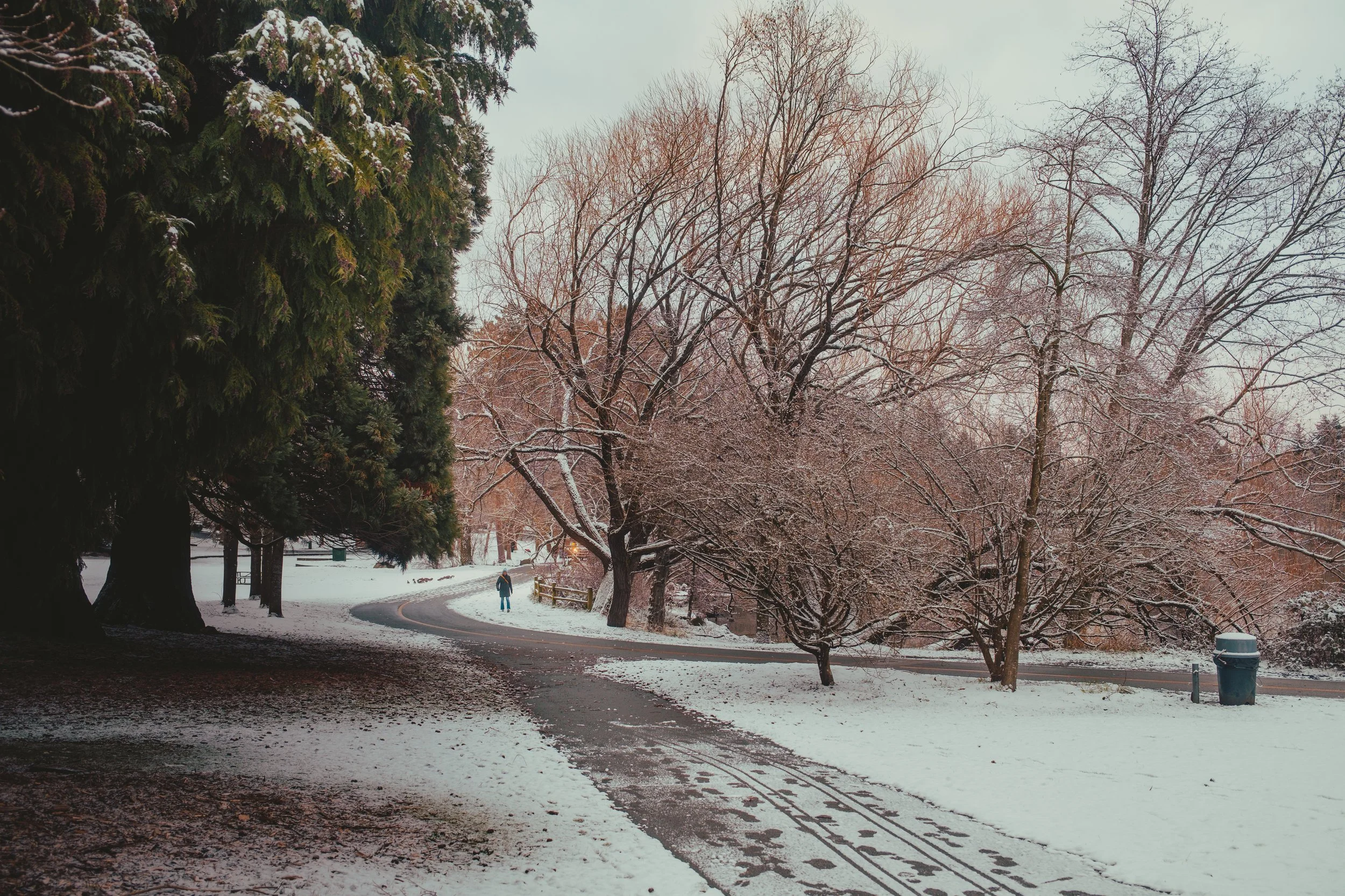 greenlake-1.jpg