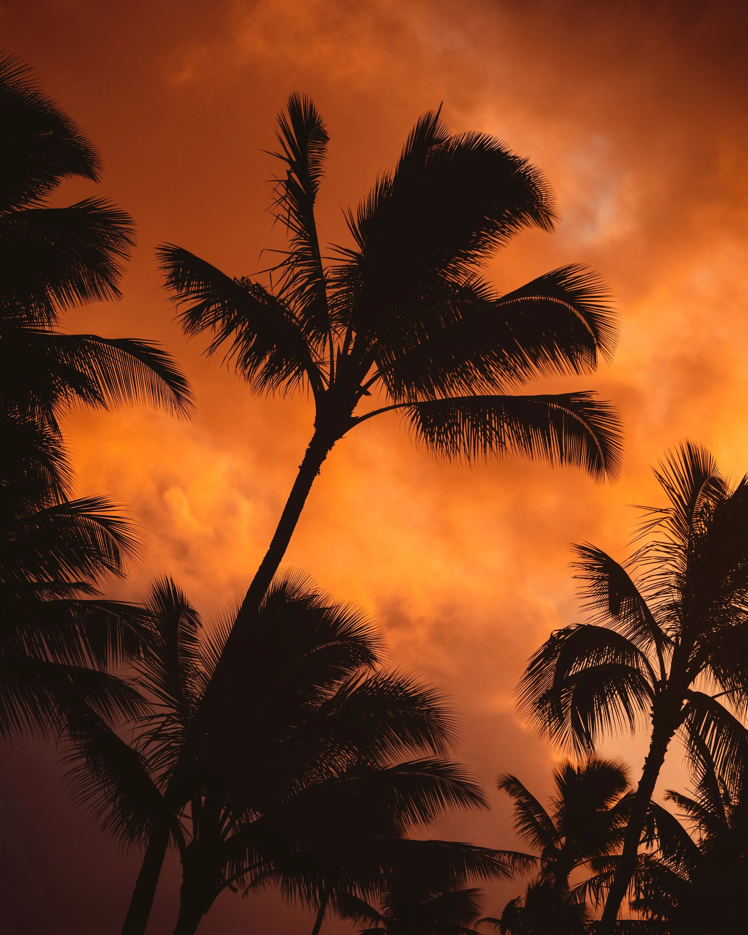 Kauai Sunsets-1.jpg