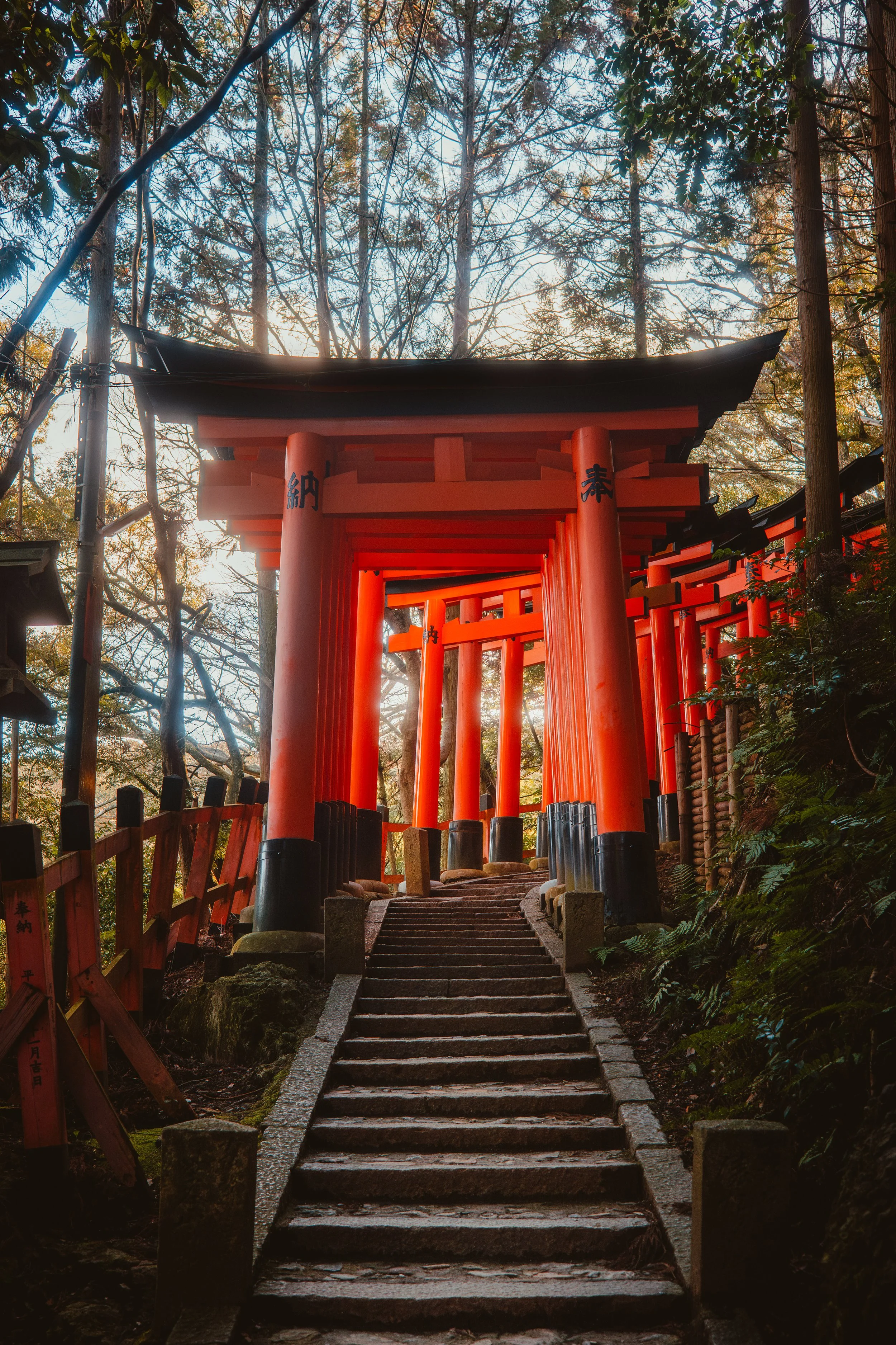 japan -1152.jpg