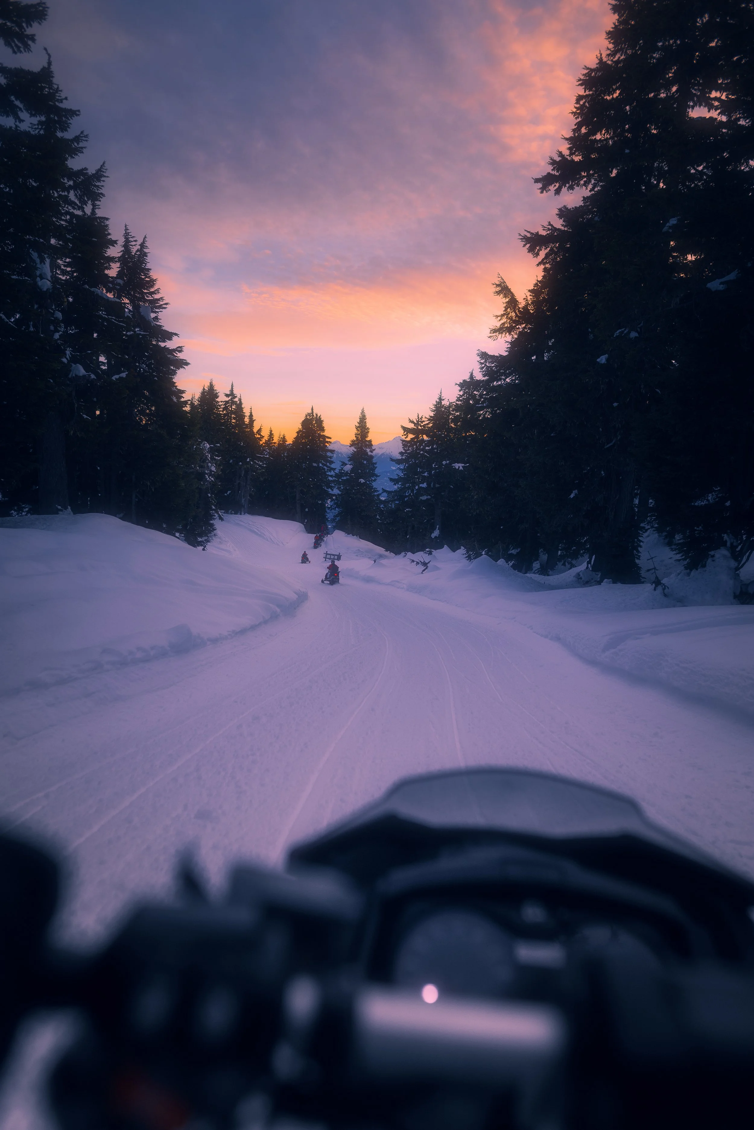 Whistler-1.jpg