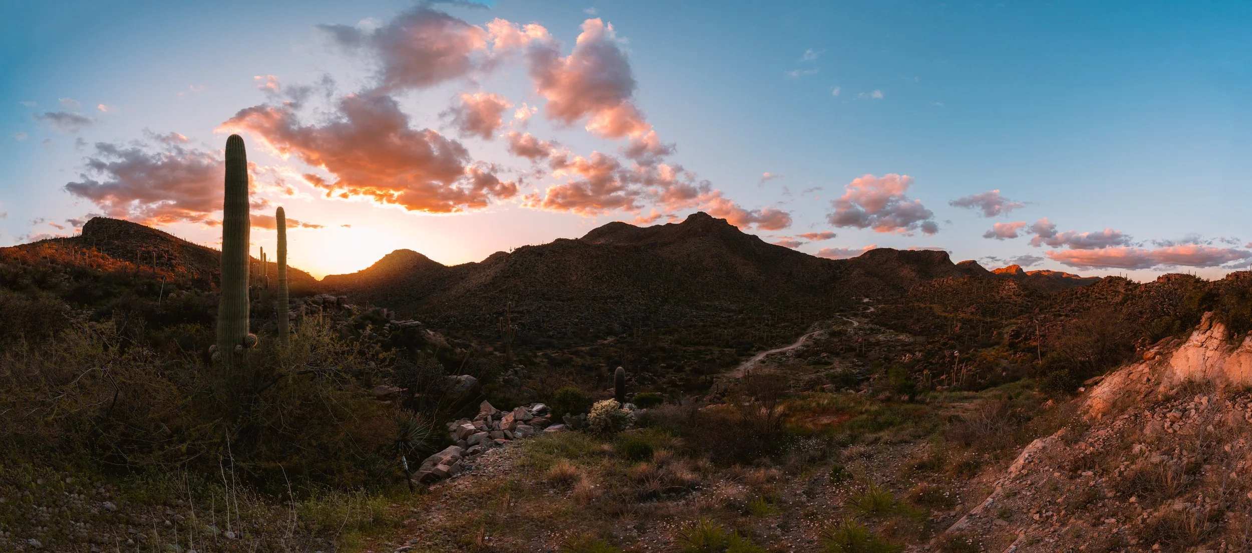 3.27 Moonlight Canyon sunset-5.jpg