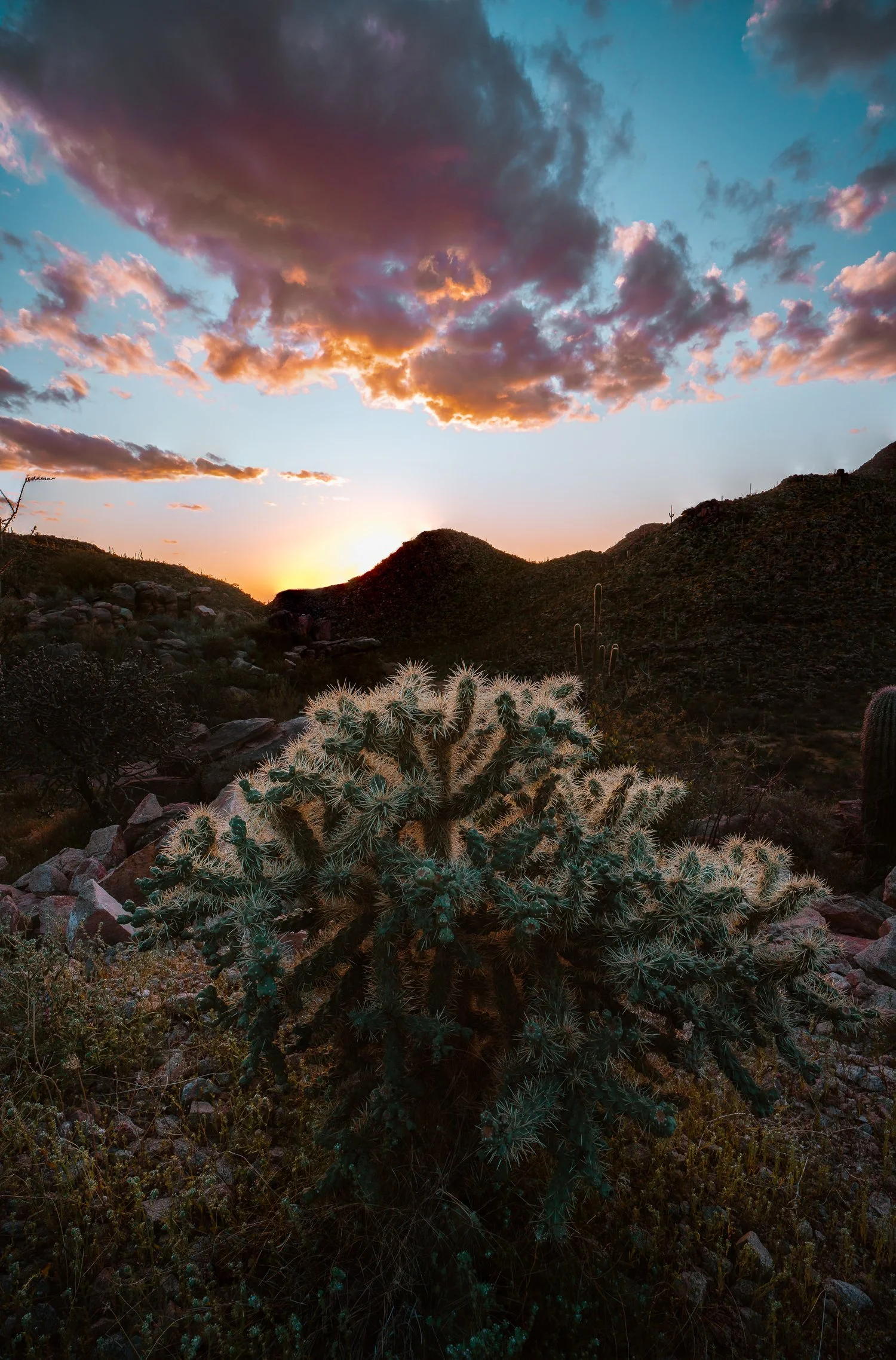 3.27 Moonlight Canyon sunset-6.jpg