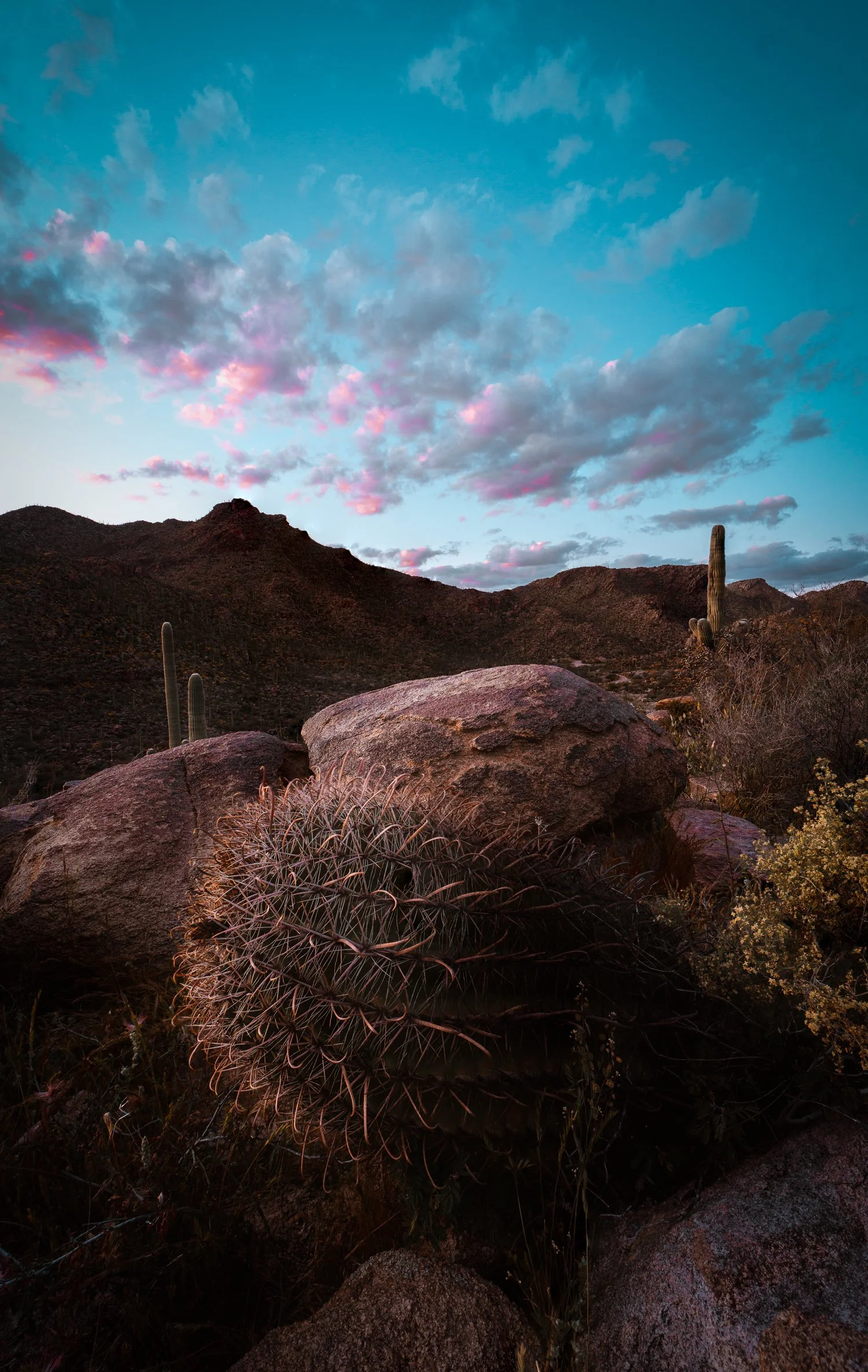 3.27 Moonlight Canyon sunset-7.jpg