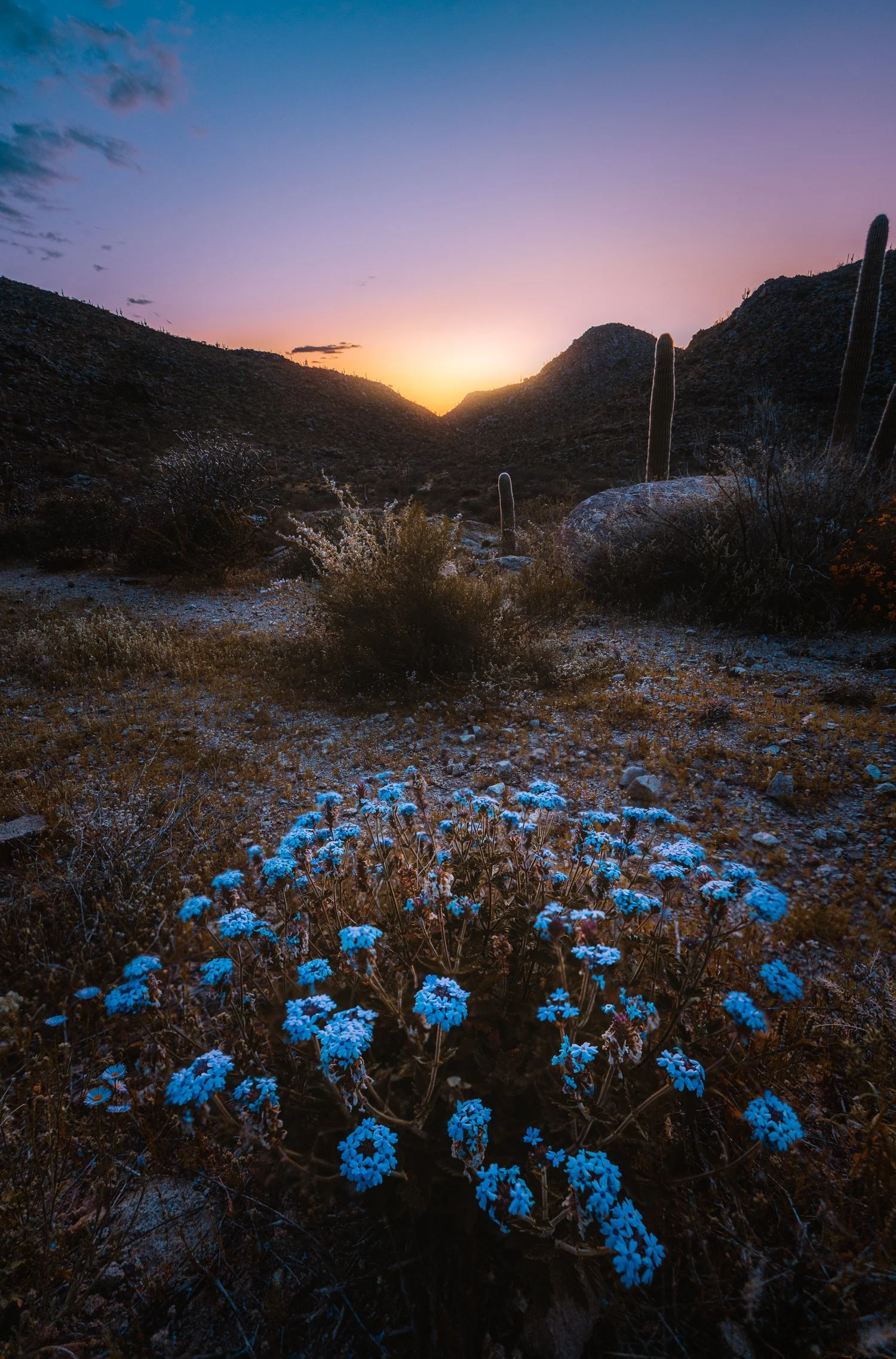 3.27 Moonlight Canyon sunset-10.jpg
