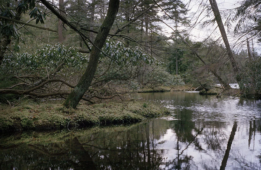 LAKE.jpg