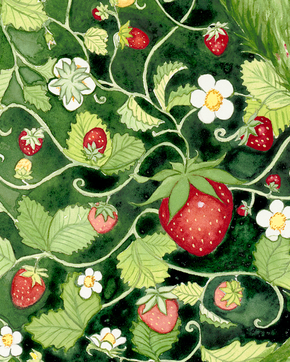 P Strawberry.jpg