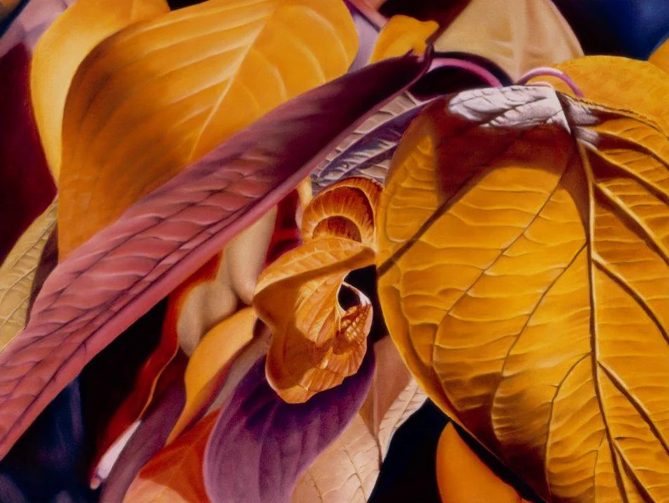 By: Carolyn Keigley