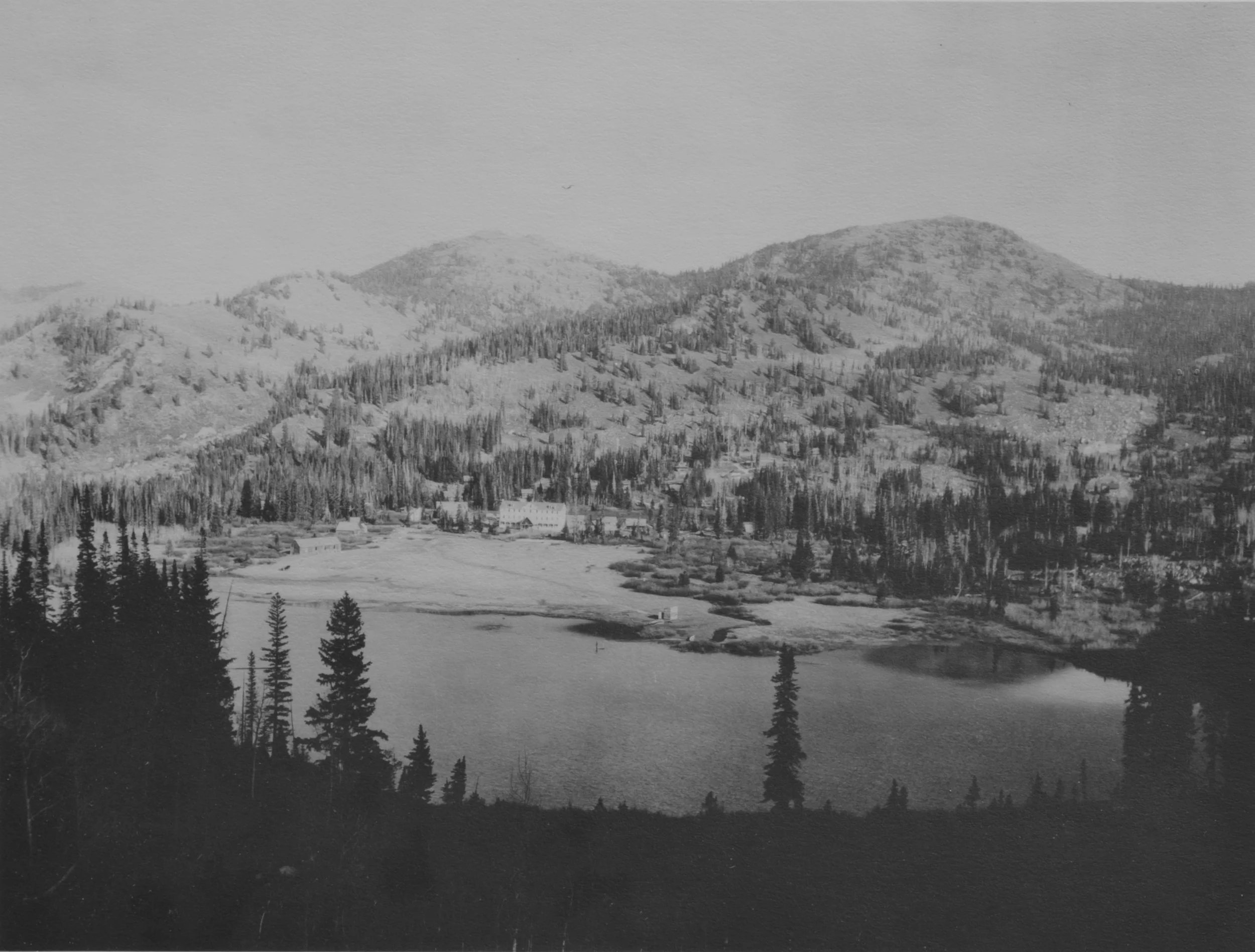 DSC_4831.jpg