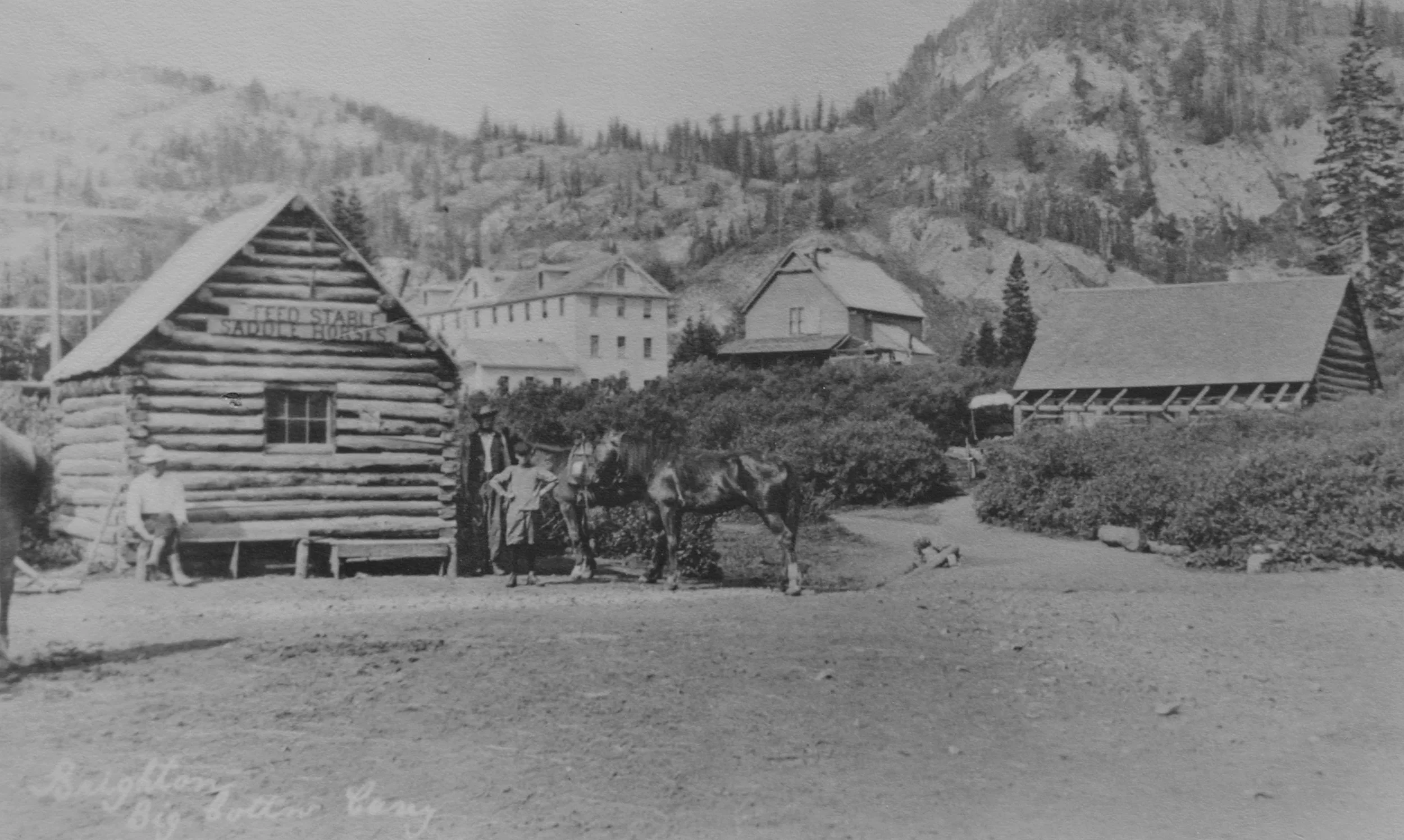 Molly Green Stables.jpg