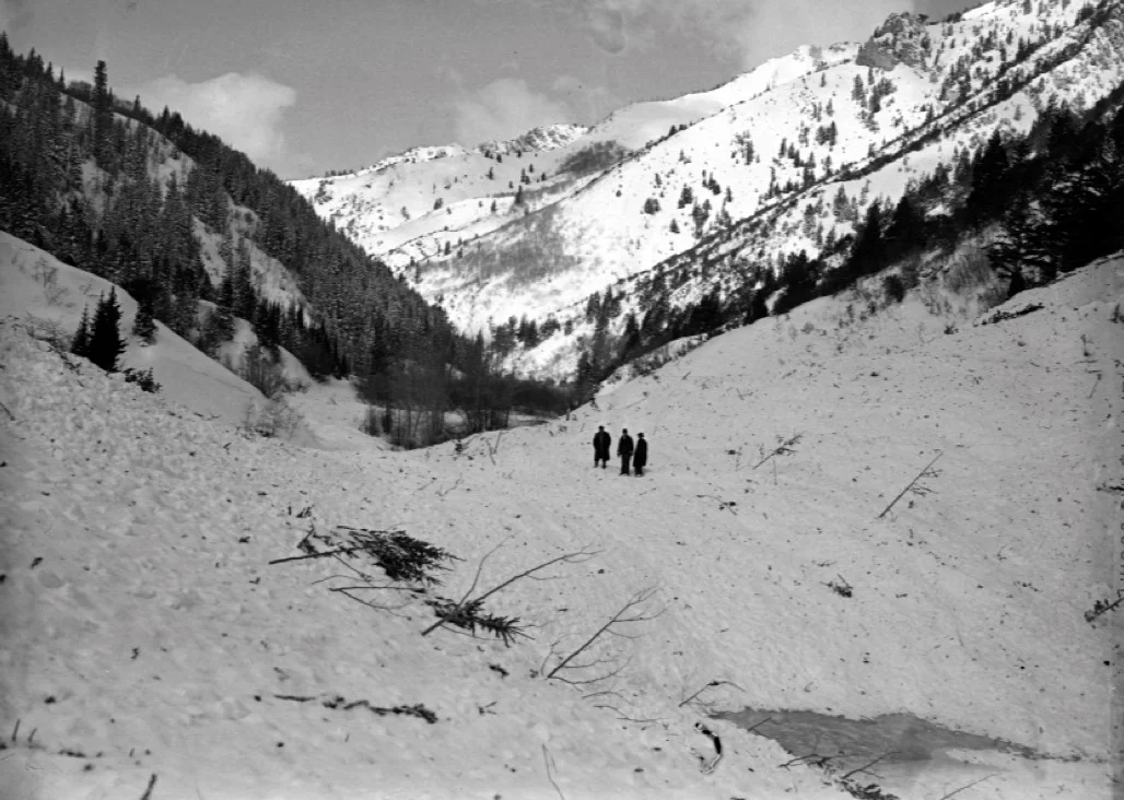 Avalanches and the Cottonwood Canyons