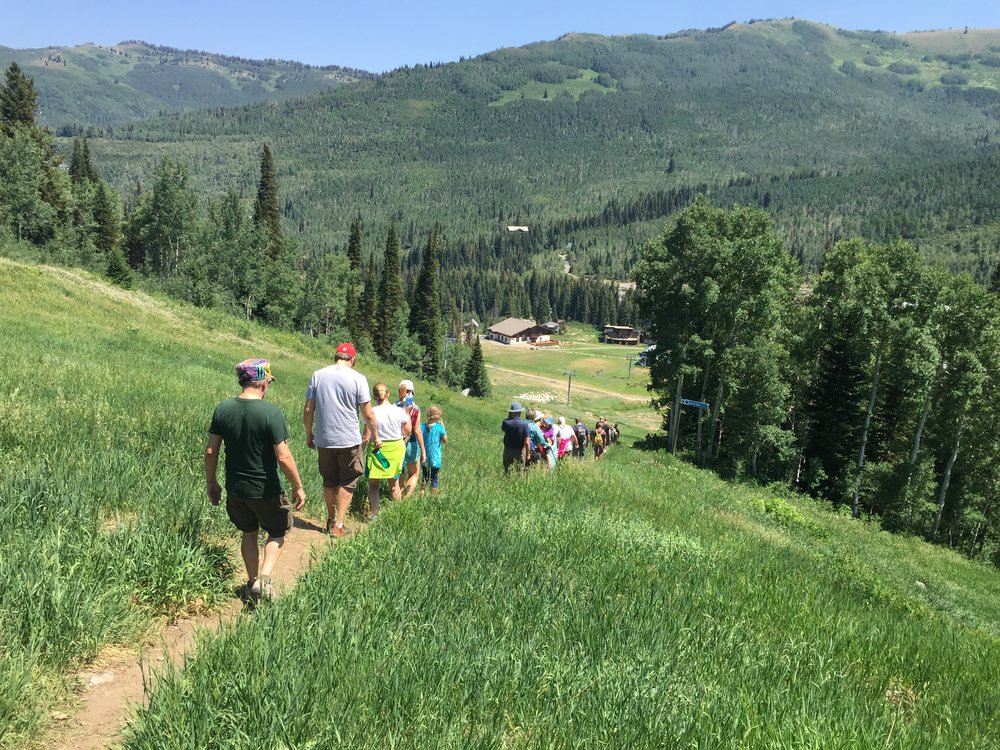 Geology Walk and Talk