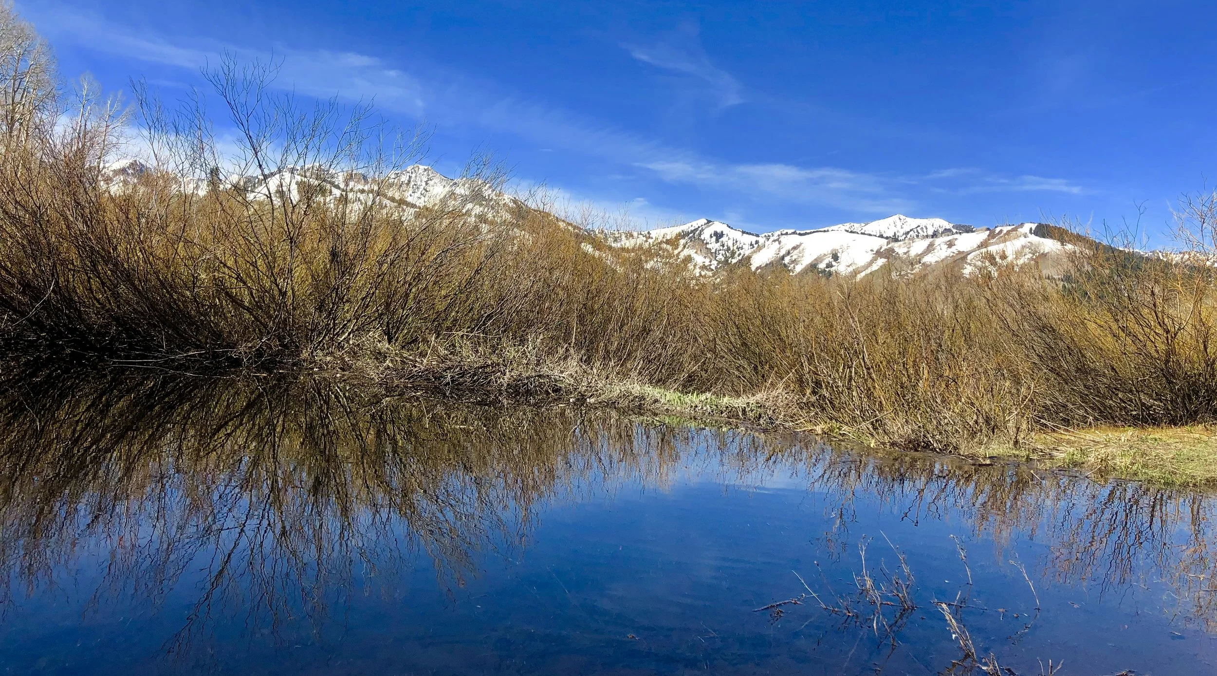 A Native People's Perspective on the History of Big Cottonwood Canyon