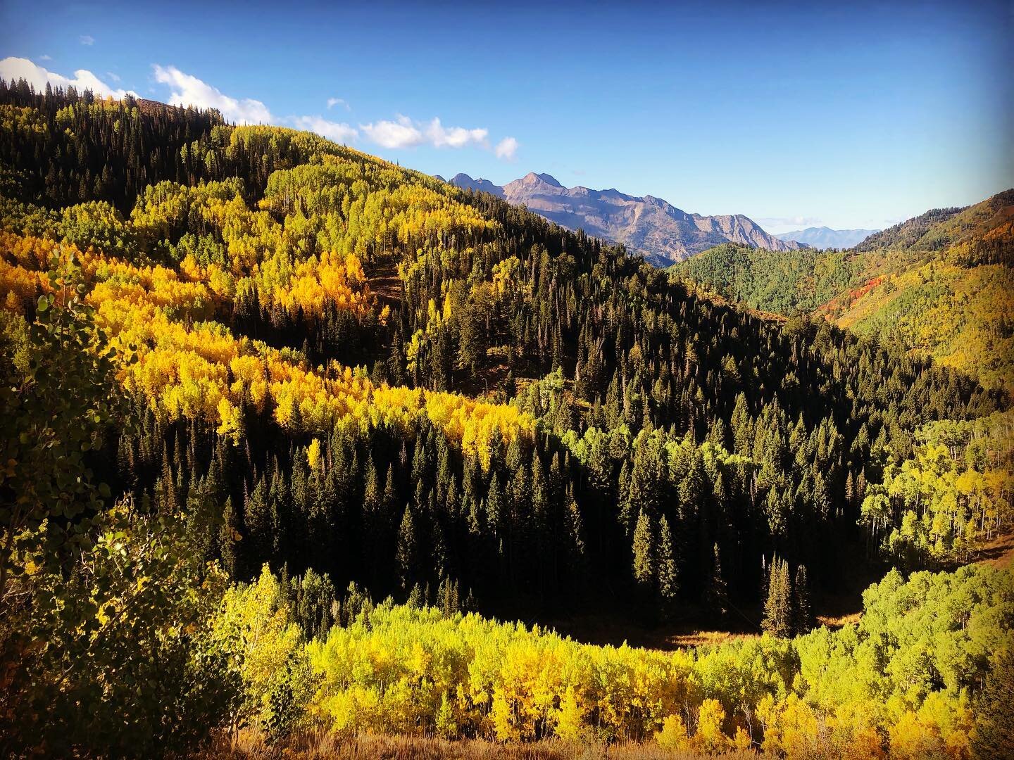 Mother Nature&rsquo;s spectacular display on Butler Loop 💚💛❤️🧡