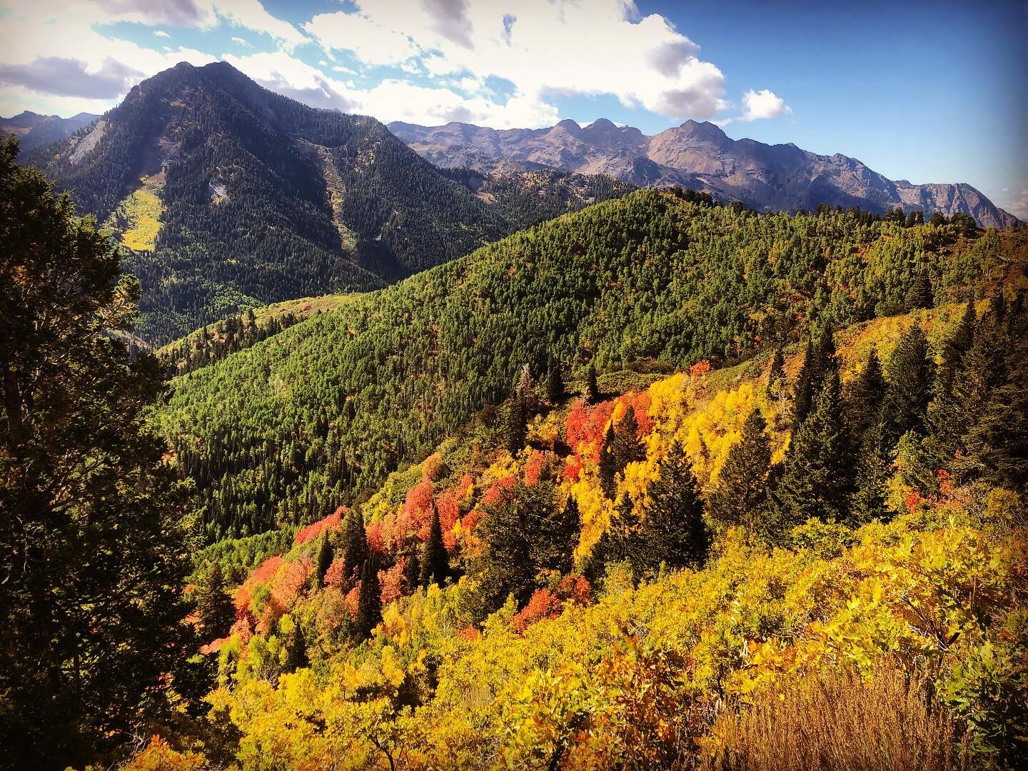 Mother Nature&rsquo;s spectacular display on Butler Loop 💚💛❤️🧡