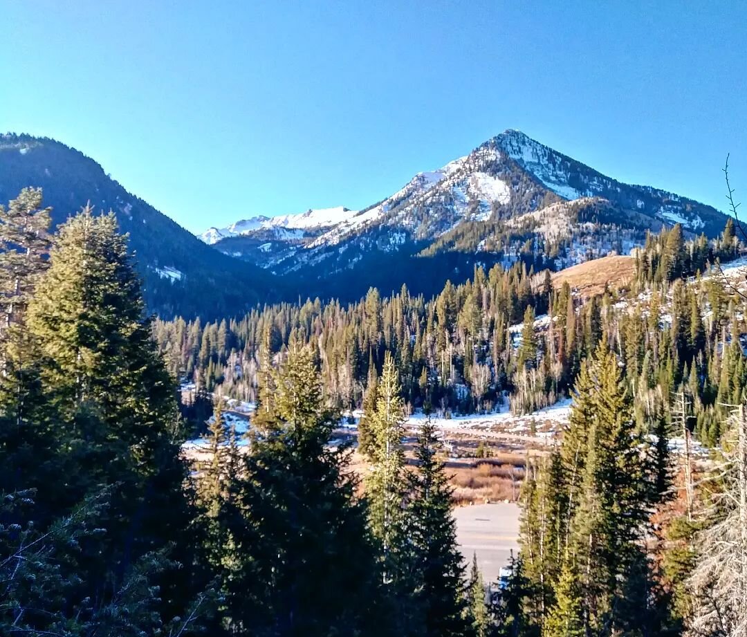 Winter is coming.  Time to get cozy,  ski till your best,  eat good treats, spend time by the fire, and talk with friends. 
.
#outside #optoutside #mountain #miuntainlife #mountains #trees #nature #cabin #cabinlife #BCC #bigcottonwood #canyon #canyon