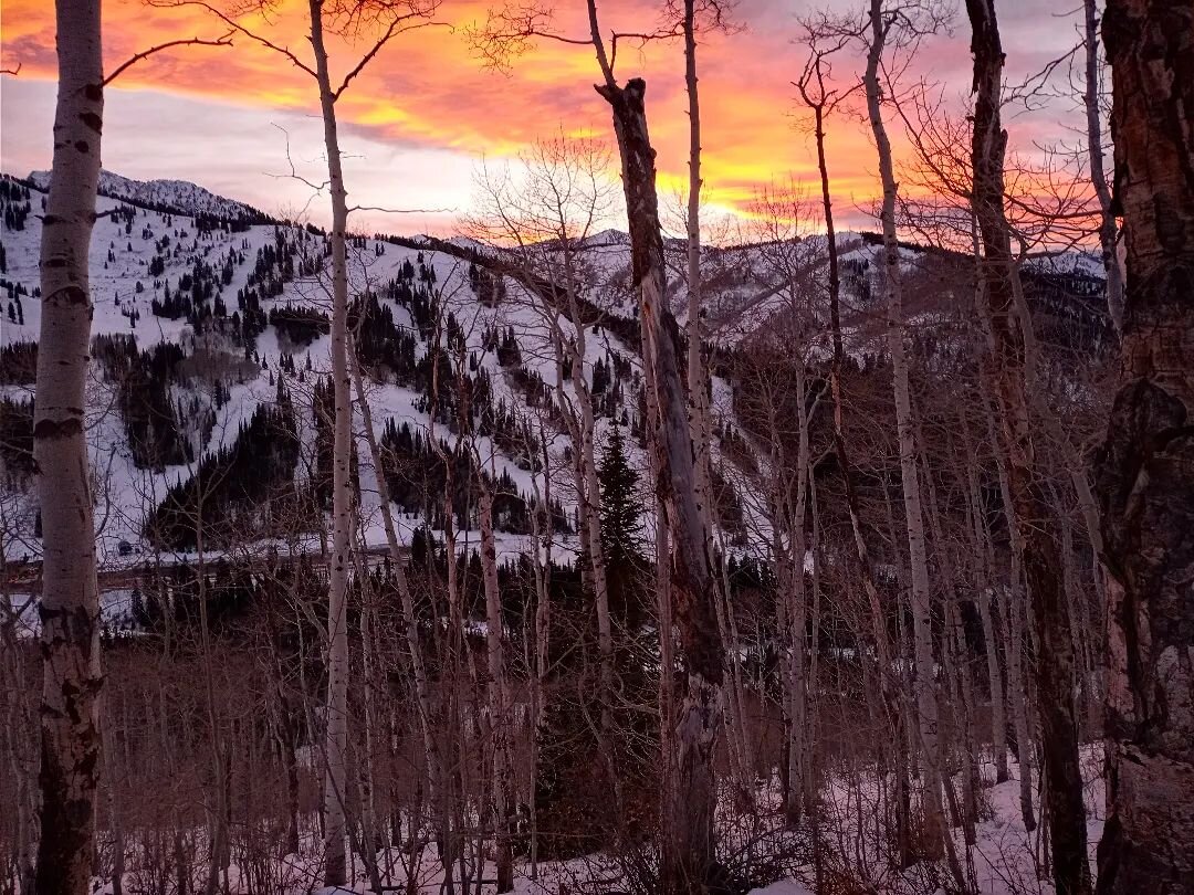 And just like that, winter has returned. 
.
#outside #optoutside #mountain #miuntainlife #mountains #trees #nature #cabin #cabinlife #BCC #bigcottonwood #canyon #canyonlife #bigcottonwoodcanyon #slc #saltlakecity #saltlake #visitslc #travel #art #cla