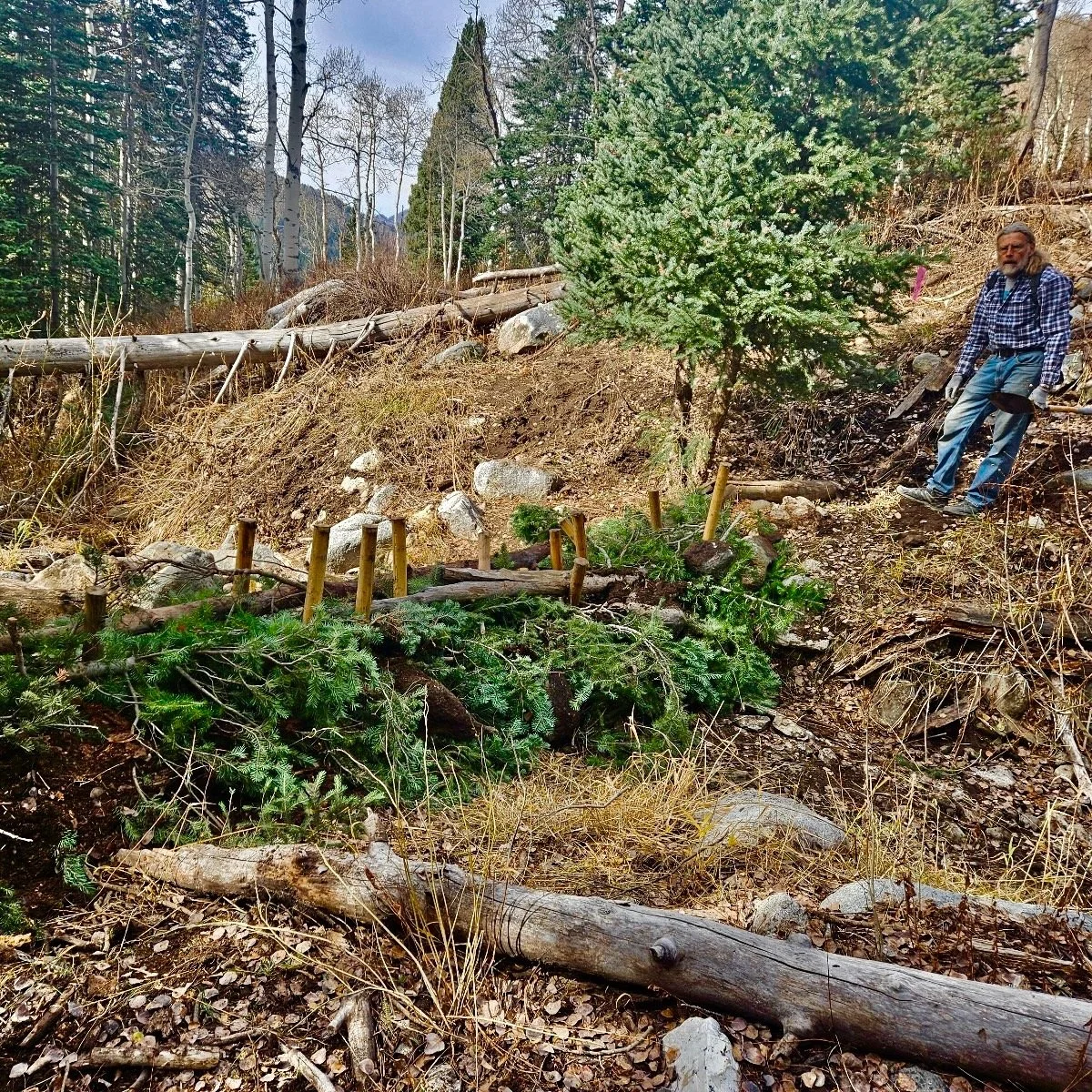 Beaver Dam Analog Build