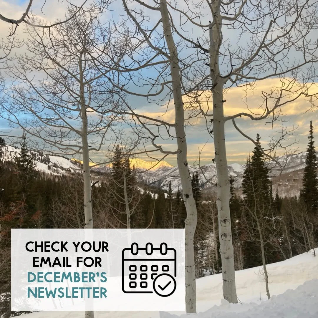🗞️ Have you heard about Brighton Institute&rsquo;s FREE Monthly Newsletter?

What is it?
This is a newsletter that goes out (typically) on the first of each month to subscribers of the Brighton Institute.

What information is included?
In the newsle