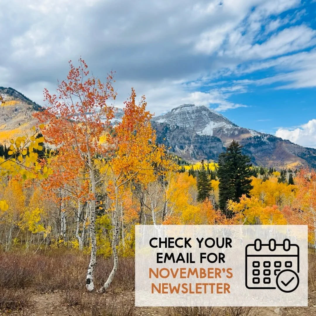 🗞️ Have you heard about Brighton Institute&rsquo;s FREE Monthly Newsletter?

What is it?
This is a newsletter that goes out (typically) on the first of each month to subscribers of the Brighton Institute.

What information is included?
In the newsle