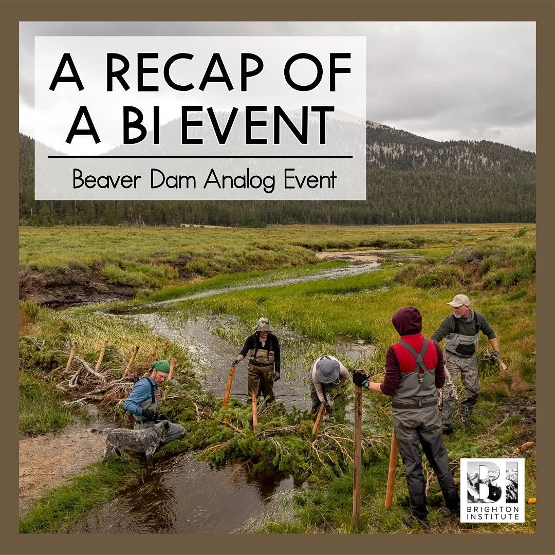 We had great success at our Beaver Dam Analog, or BDA, event last Saturday!

Thank you so much to Kayleigh Mullen from Trout Unlimited along with Salt Lake Public Utilities, the Town of Brighton, Utah DNR, Apex Fire Preparedness, Cottonwood Canyons F