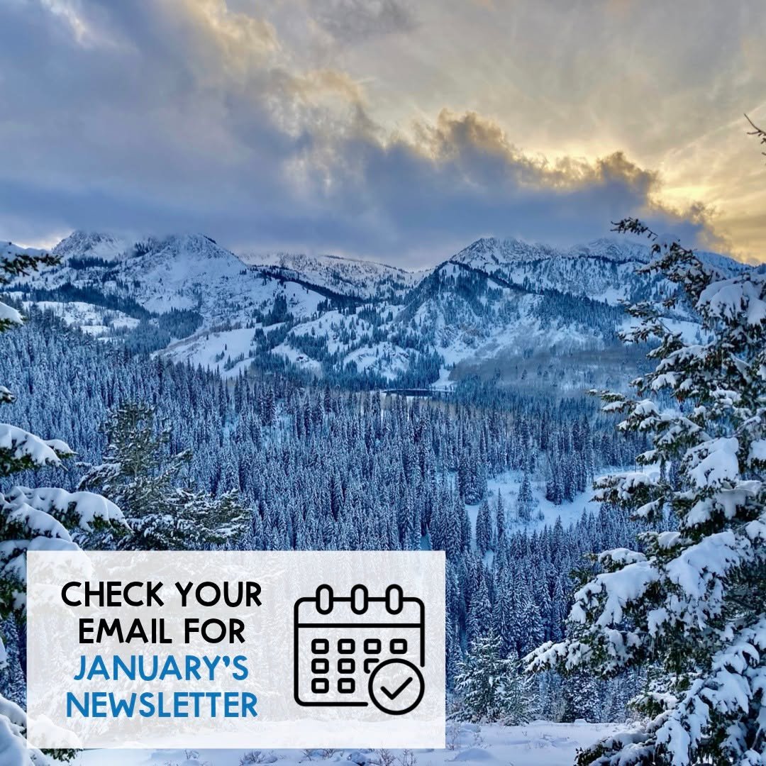 🗞️ Have you heard about Brighton Institute&rsquo;s FREE Monthly Newsletter?

What is it?
This is a newsletter that goes out (typically) on the first of each month to subscribers of the Brighton Institute.

What information is included?
In the newsle