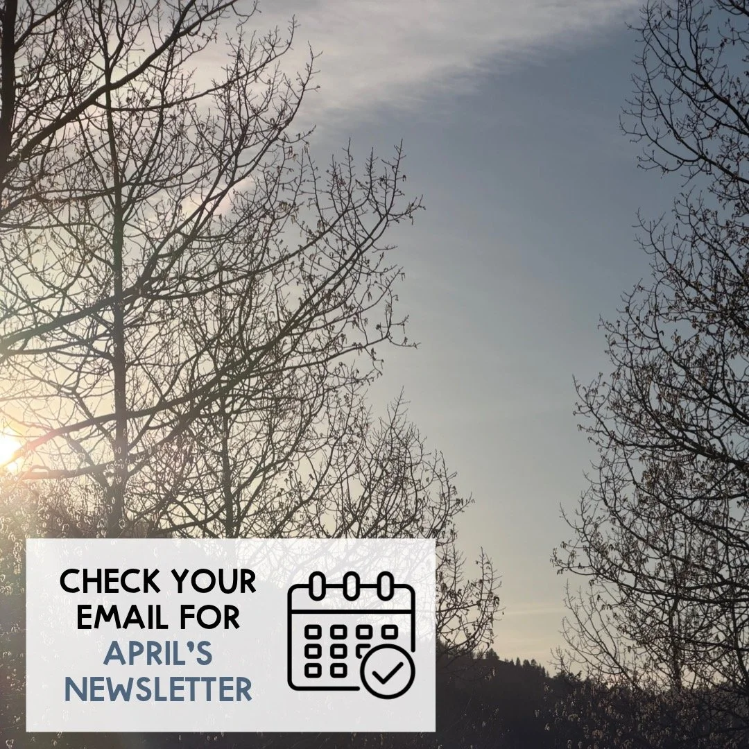 🗞️ Have you heard about Brighton Institute&rsquo;s FREE Monthly Newsletter?

What is it?
This is a newsletter that goes out (typically) on the first of each month to subscribers of the Brighton Institute.

What information is included?
In the newsle