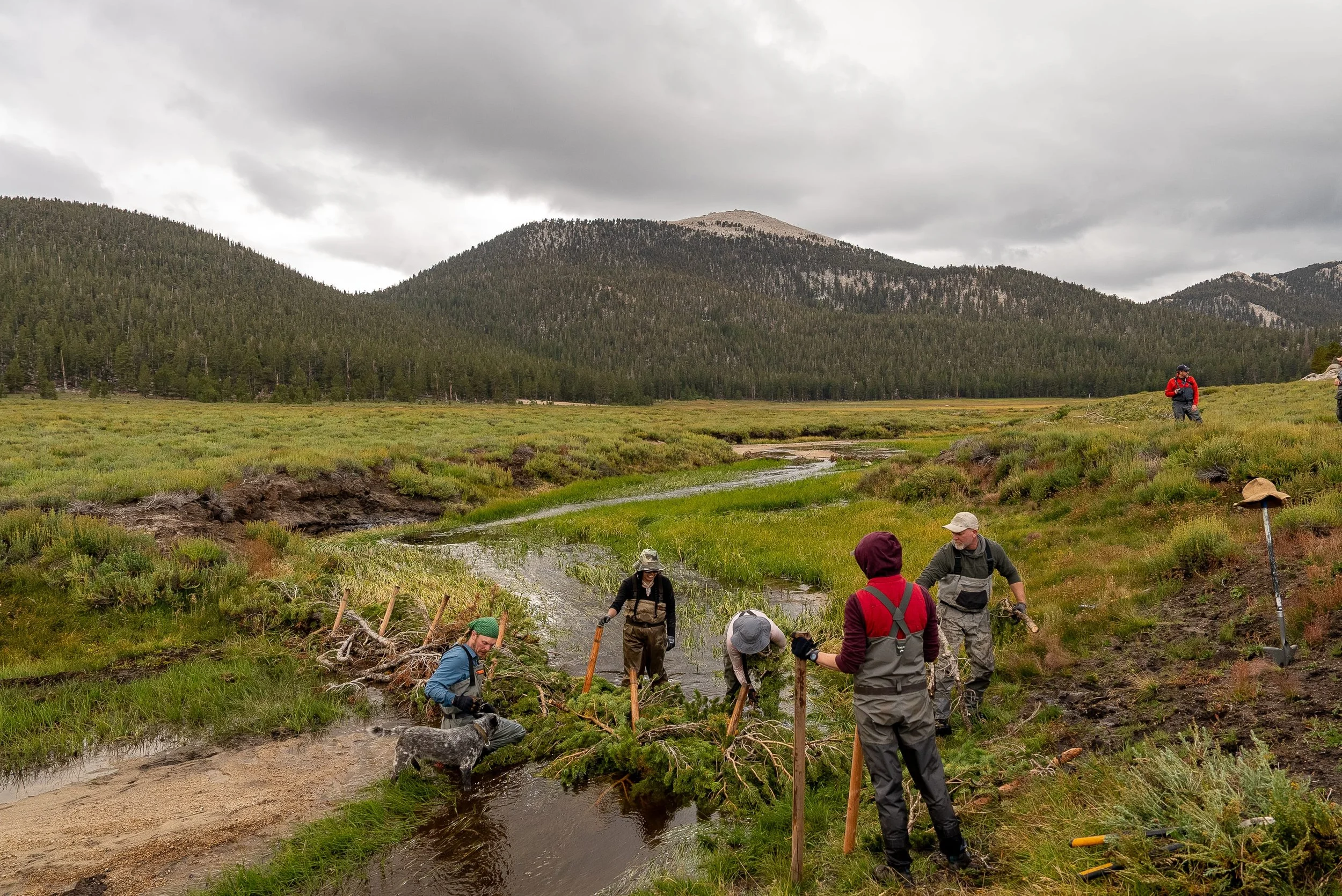 Beaver Dam Analog Maintenance