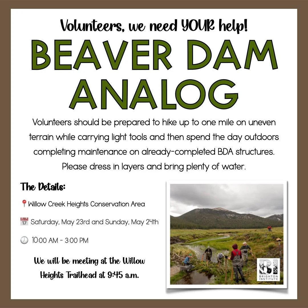 Beaver Dam Analog Maintenance Event

📍Willow Creek Heights Conservation Area

📅 Saturday, May 23rd AND Sunday, May 24th

🕖 10:00 AM - 3:00 PM

Come join us as we spend the day outdoors completing maintenance on already-completed BDA structures. Pl
