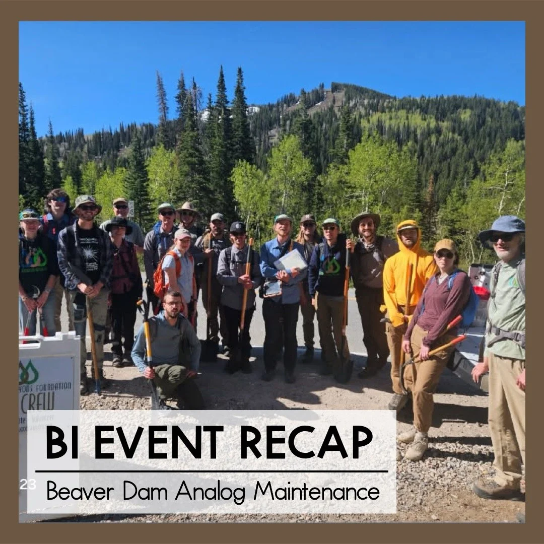 Our Beaver Dam Analog Maintenance event on Saturday, May 23rd was a HUGE success! We had a wonderful turn out of twenty-four total volunteers who helped restore all of the already-completed BDA structures in the Willow Heights Area. 

Want to learn m