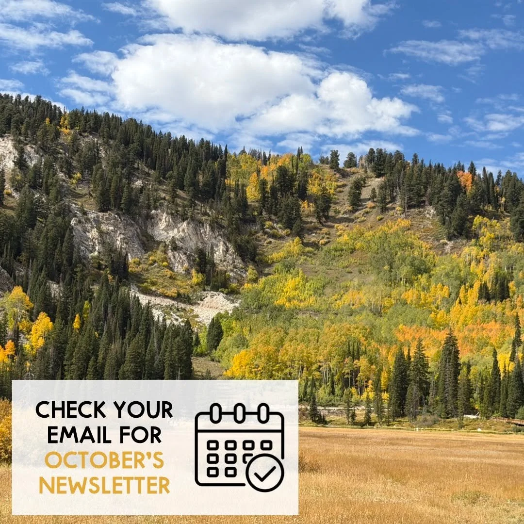 🗞️ Have you heard about Brighton Institute&rsquo;s FREE Monthly Newsletter?

What is it?
This is a newsletter that goes out on the second or third (usually) of each month to subscribers of the Brighton Institute.

What information is included?
In th