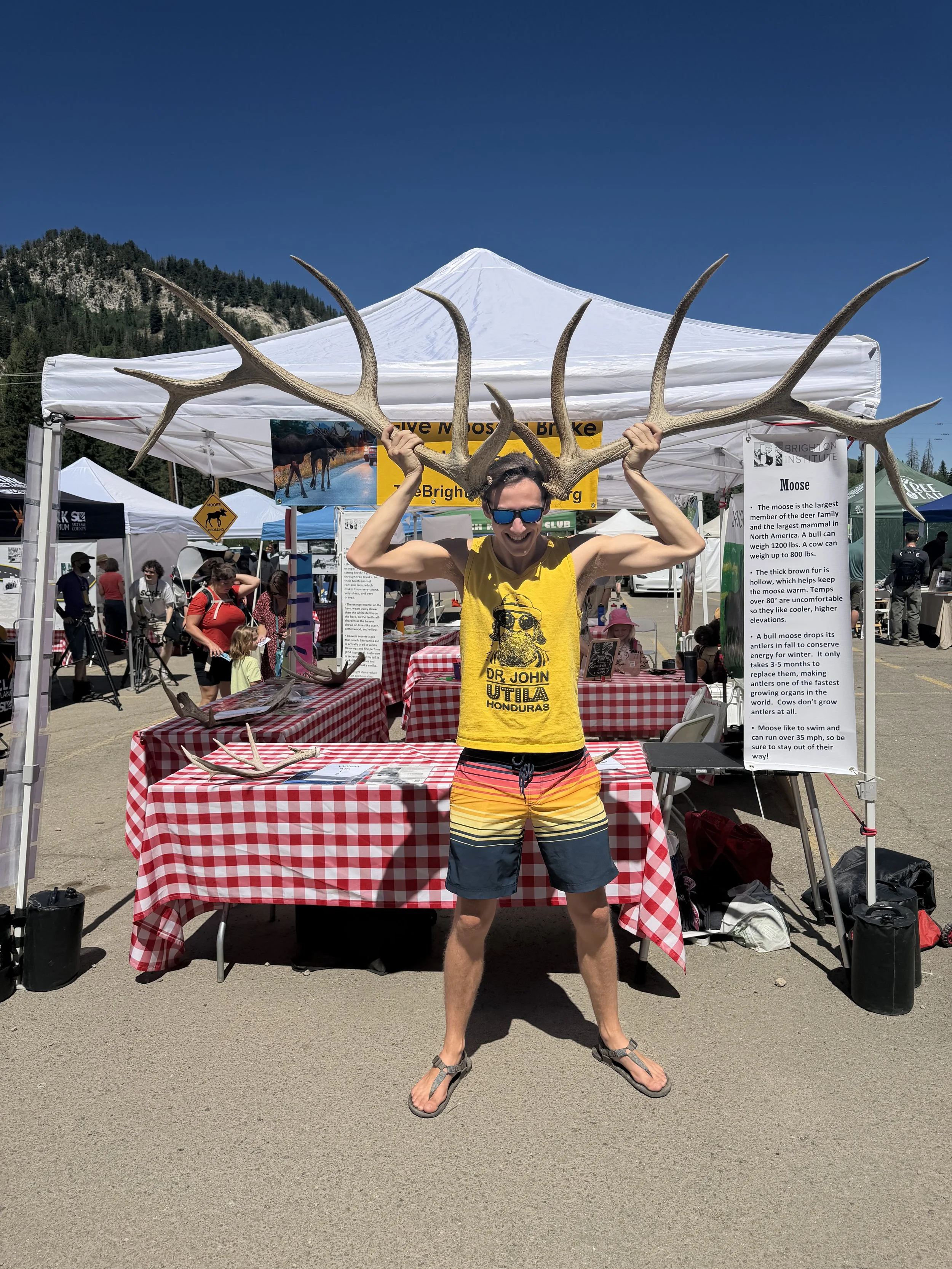 Person Holding Moose Antlers