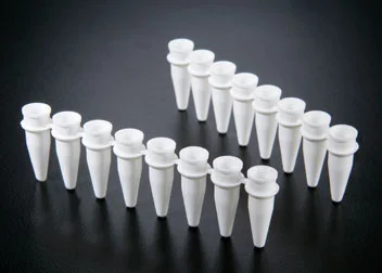 PCR1.jpg
