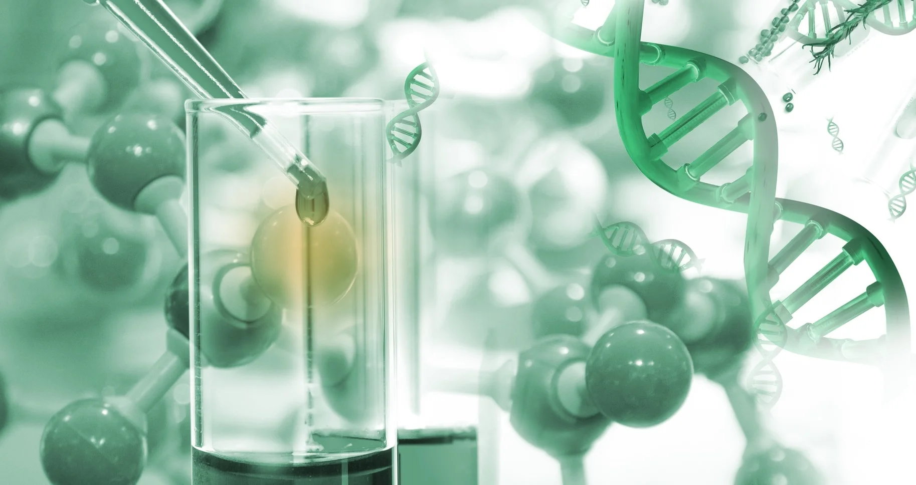 DNA-Extraction.gif