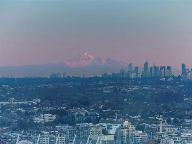 Luxury Condo Report