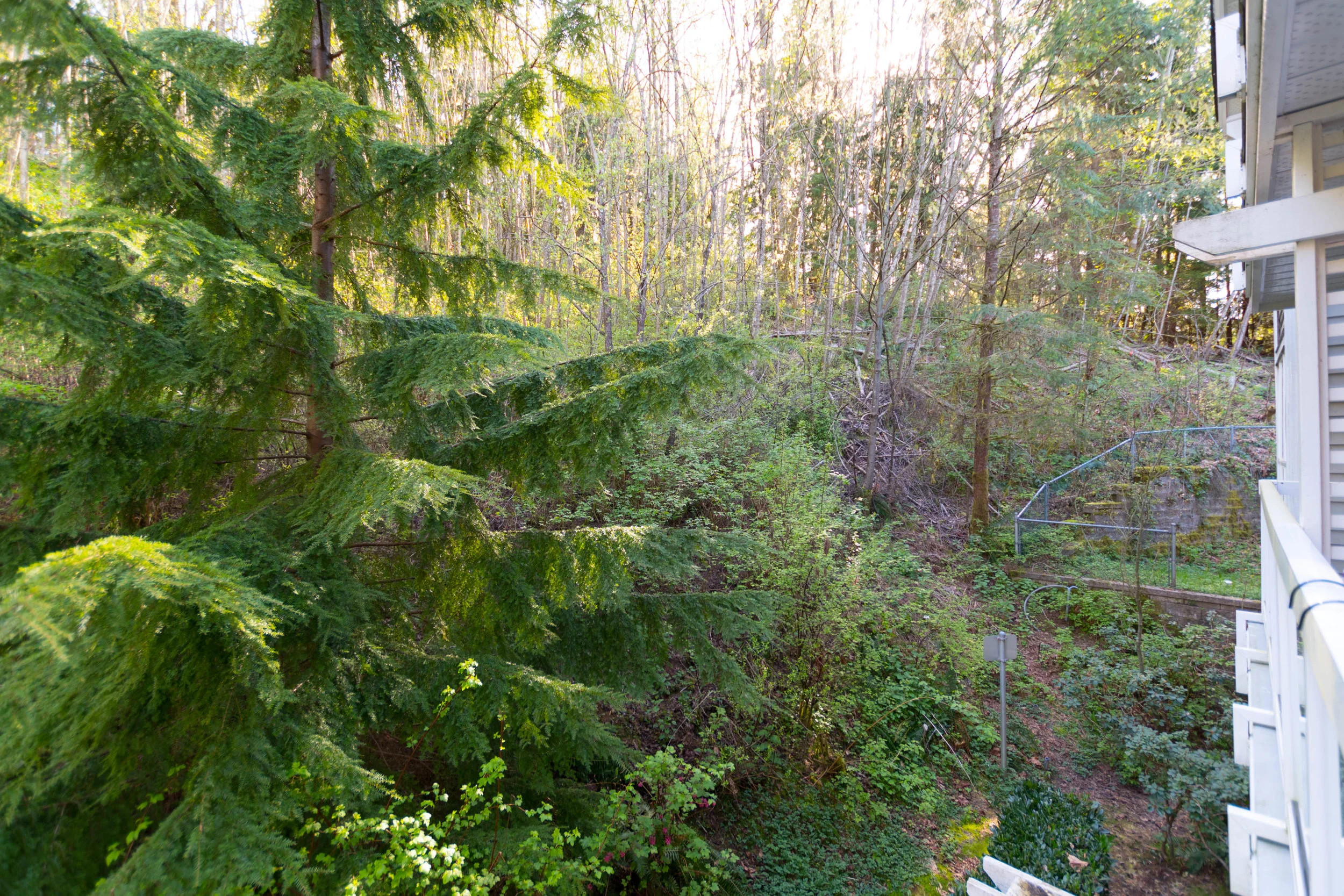 206 3099 Terravista Pl Port-print-024-16-View-3936x2624-300dpi.jpg
