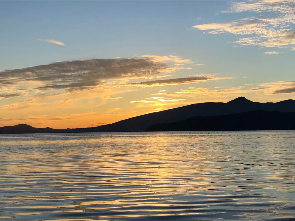 November Media Stats Report