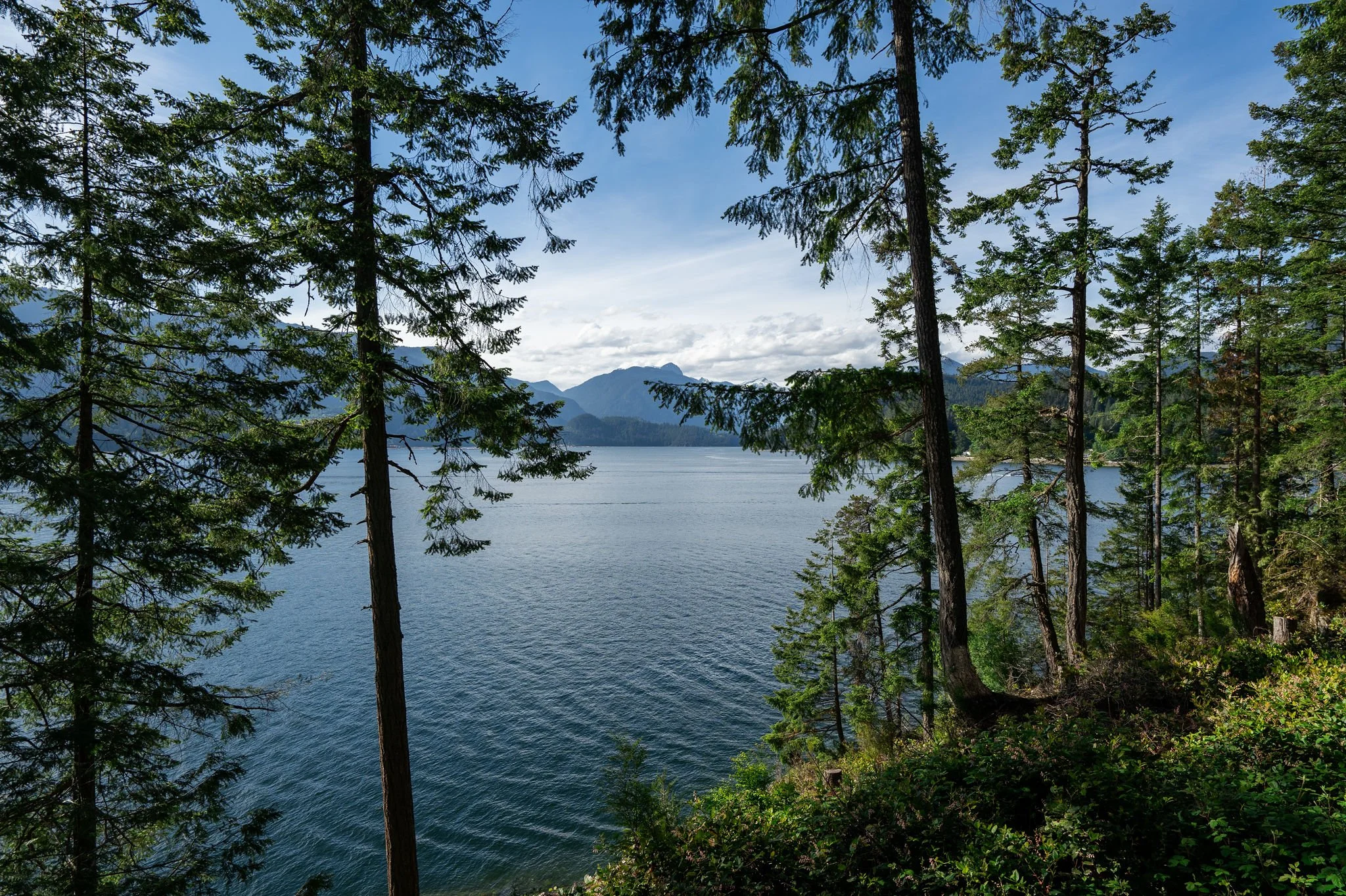2363SasalerRd-90.jpg