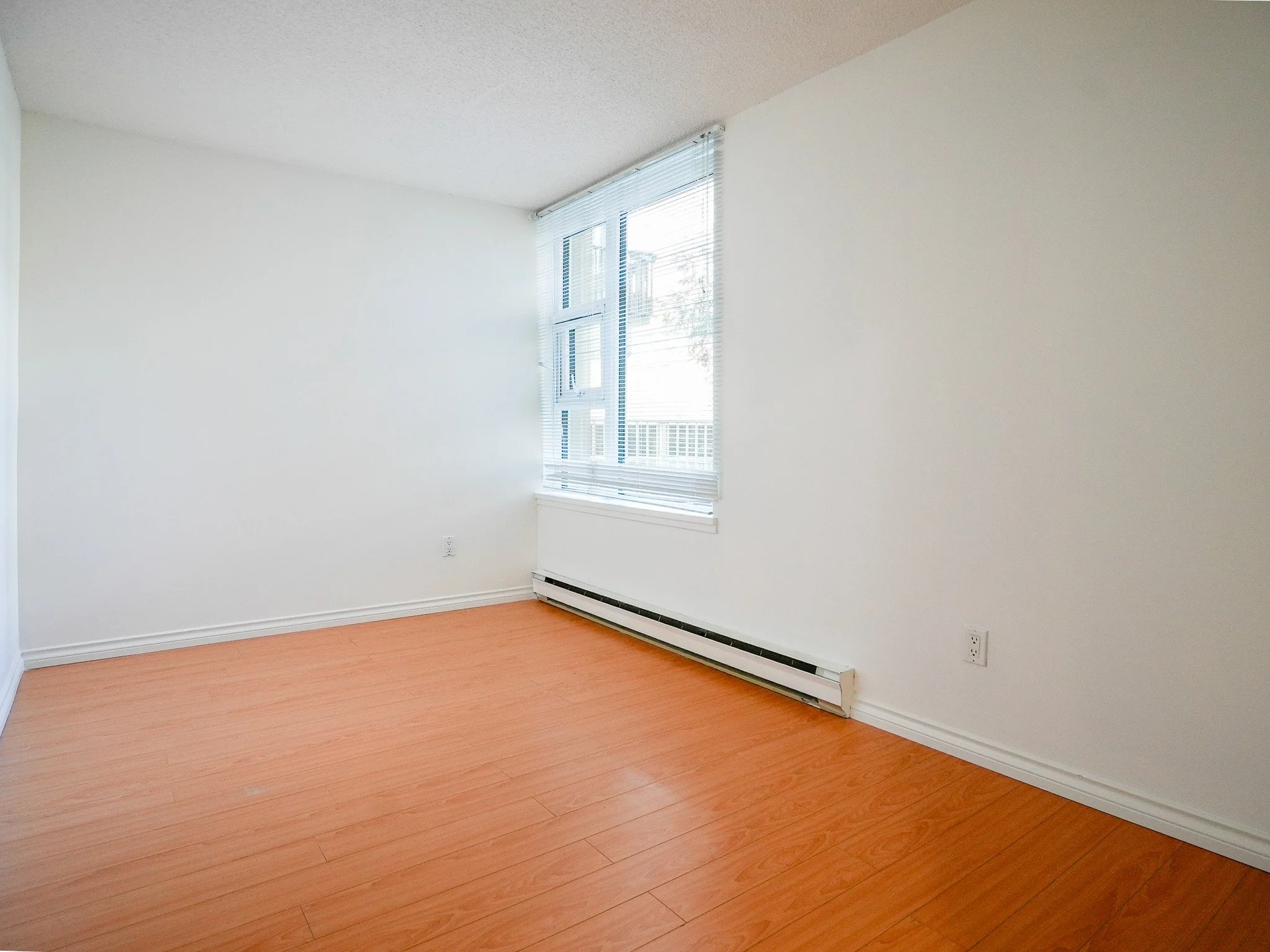 101 1845 Robson MLS 2026-10.jpg