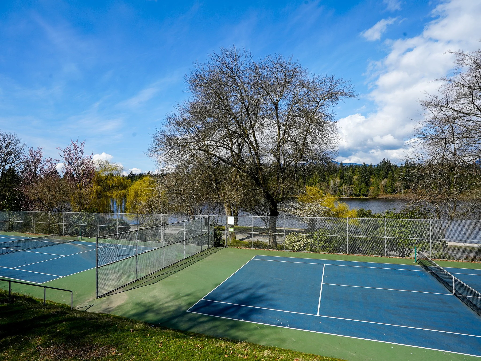 101 1845 Robson MLS 2026-15.jpg