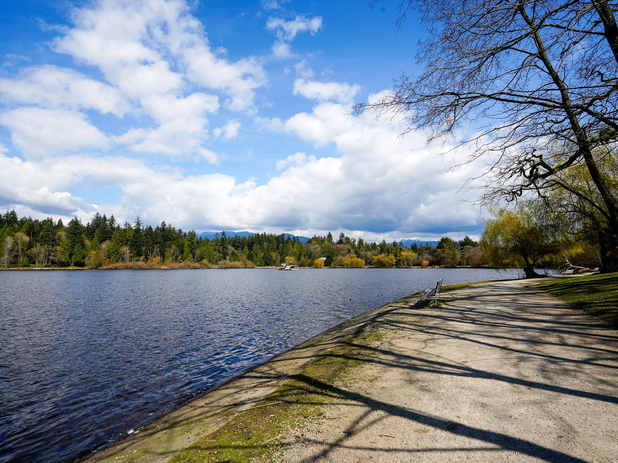 101 1845 Robson MLS 2026-16.jpg