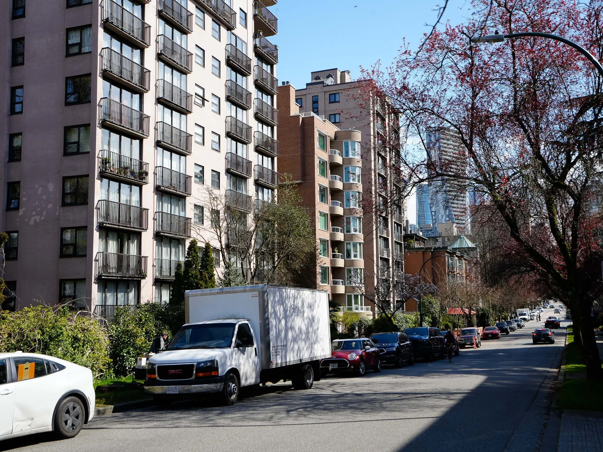 101 1845 Robson MLS 2026-18.jpg