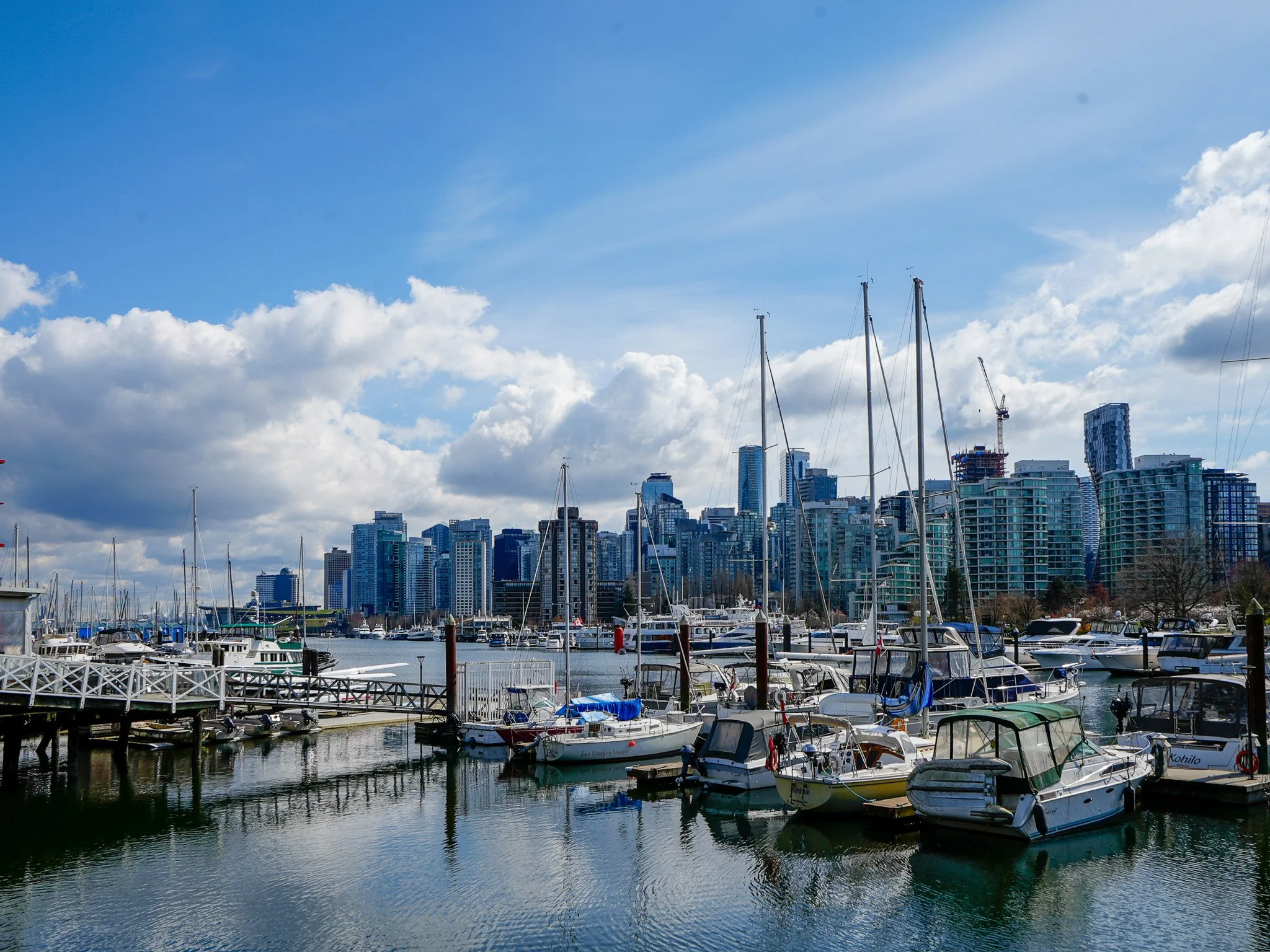 101 1845 Robson MLS 2026-19.jpg