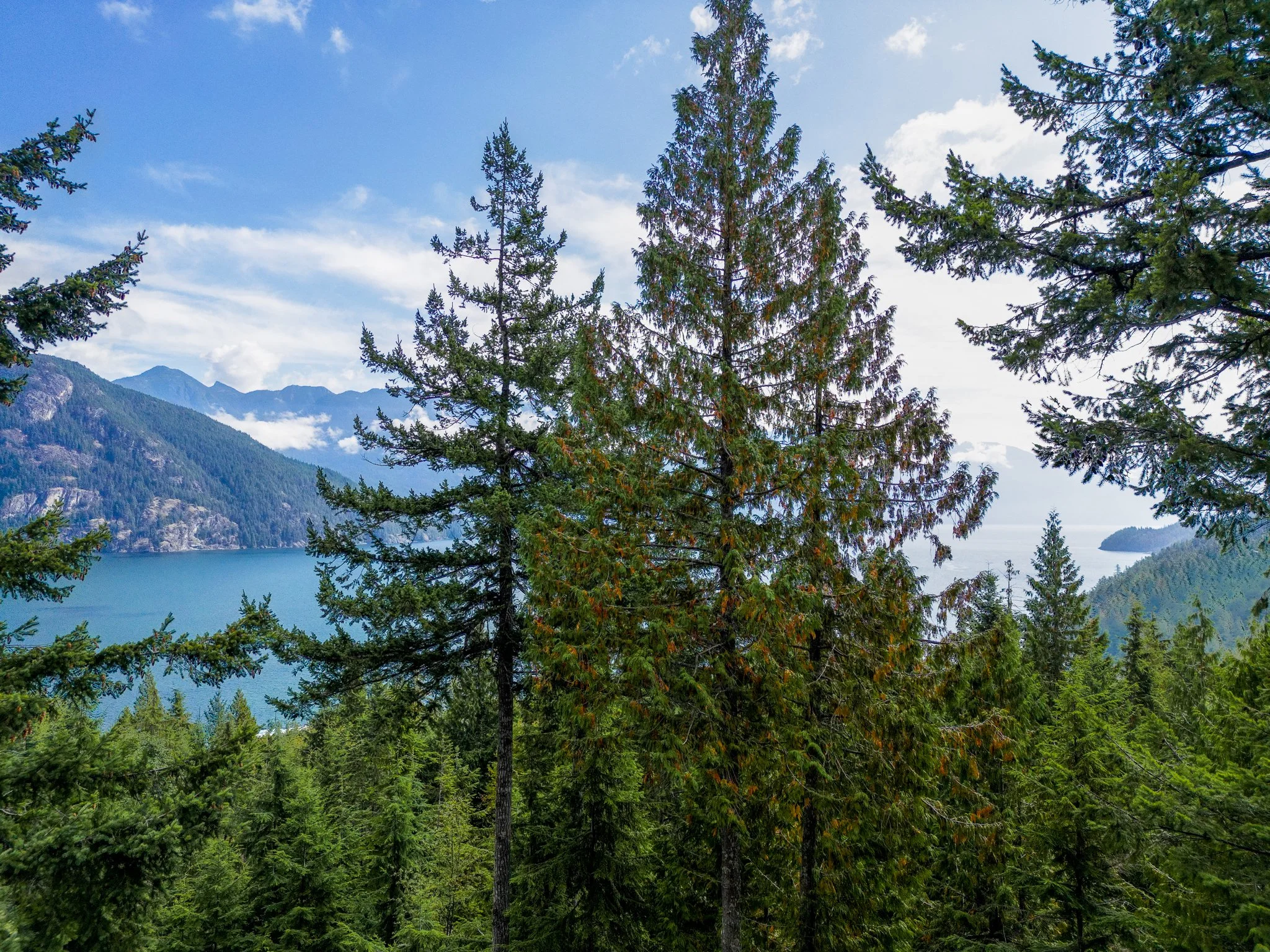 Lot 43 Douglas Bay-05.jpg