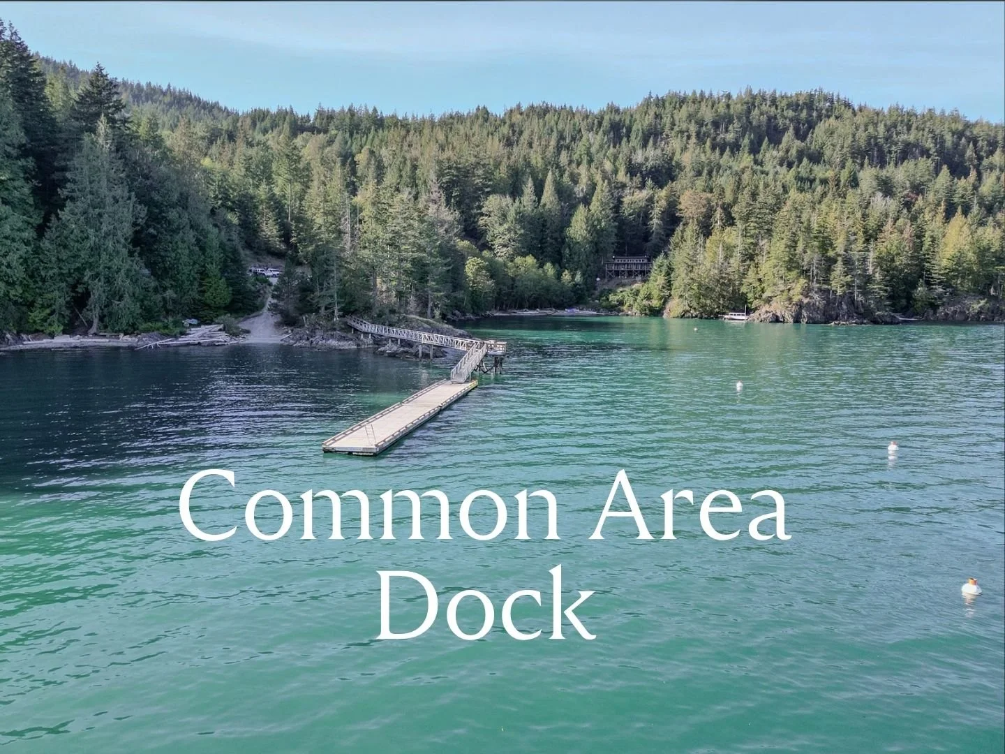 Douglas Bay Common Area Main Dock.jpg