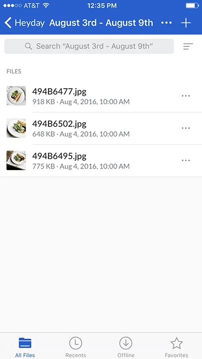 App Version