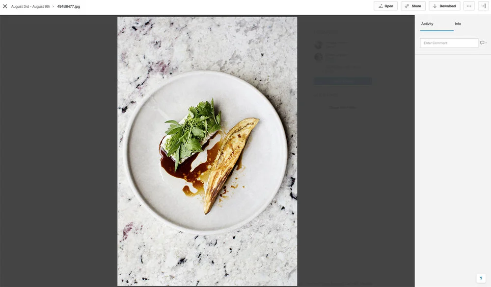 Website Version