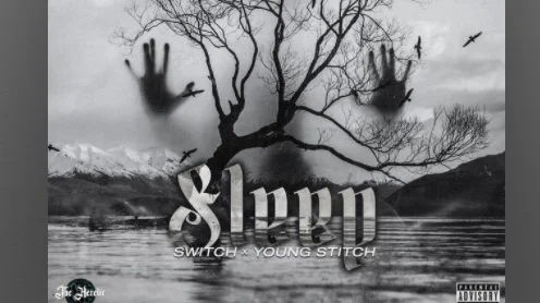 Switch & Young Stitch- Sleep
